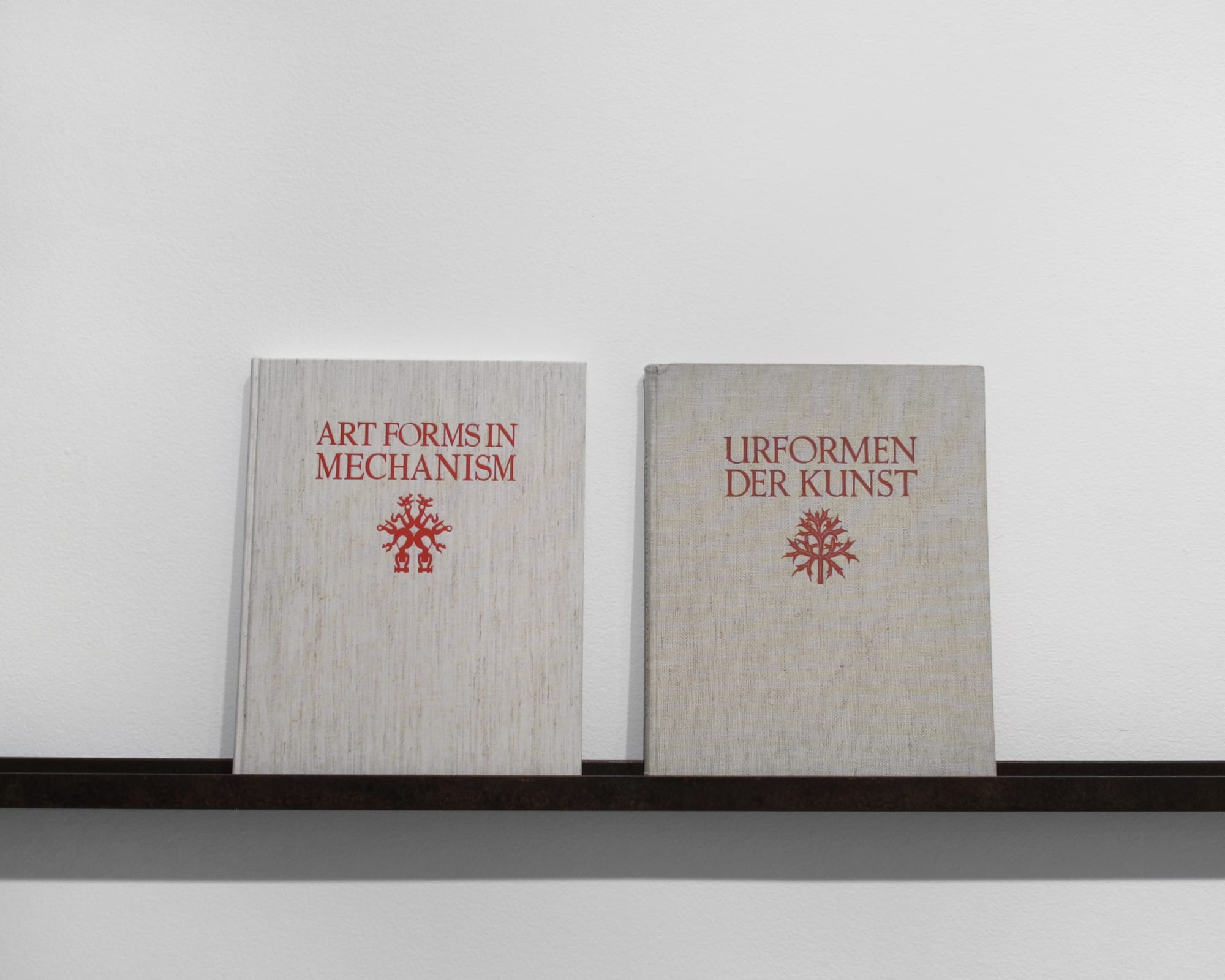 Linarejos Moreno: Art Forms in Mechanism