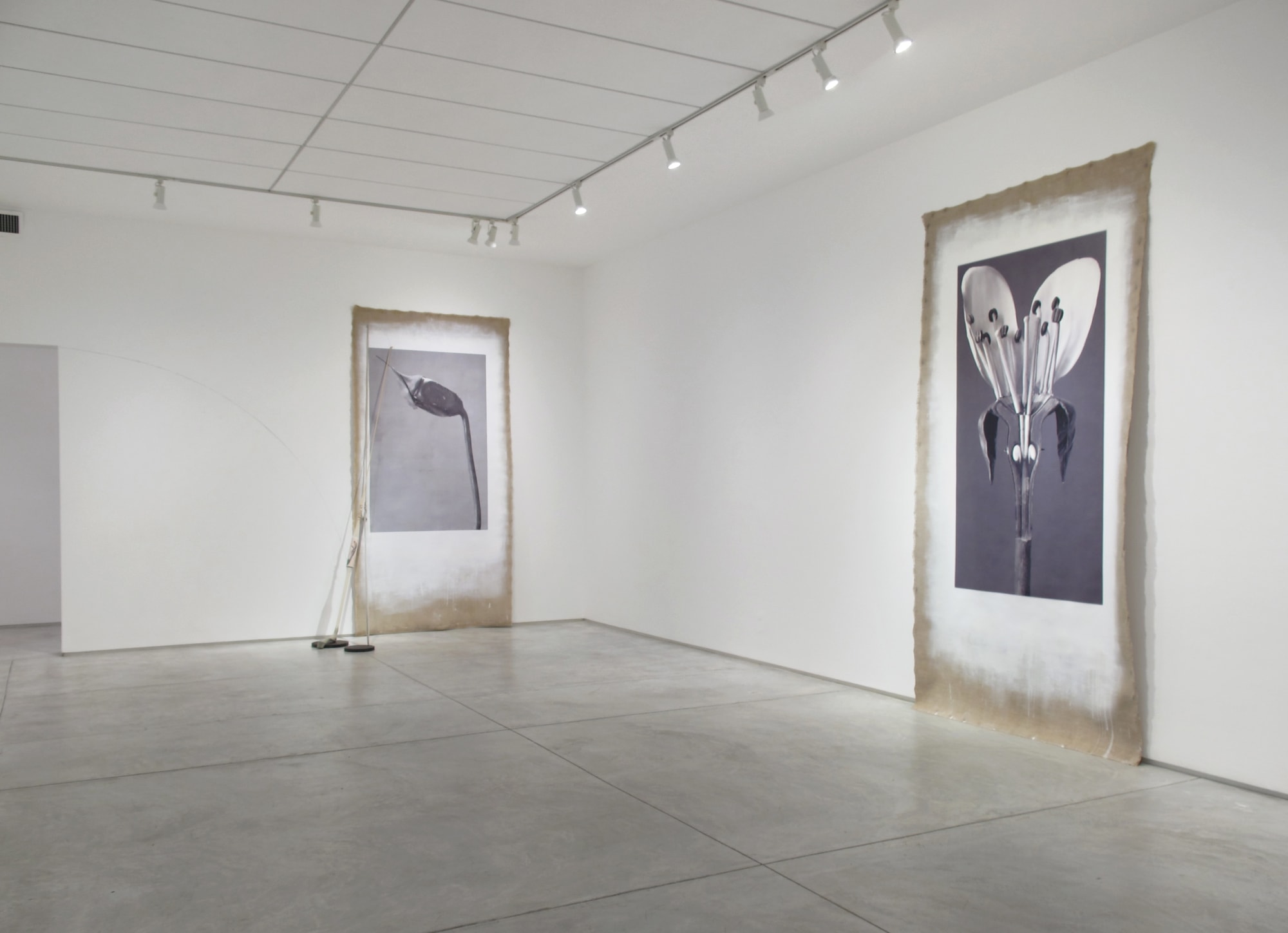 Linarejos Moreno: Art Forms in Mechanism