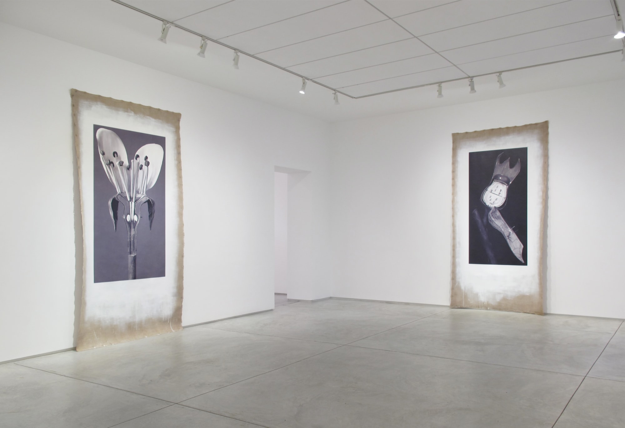 Linarejos Moreno: Art Forms in Mechanism