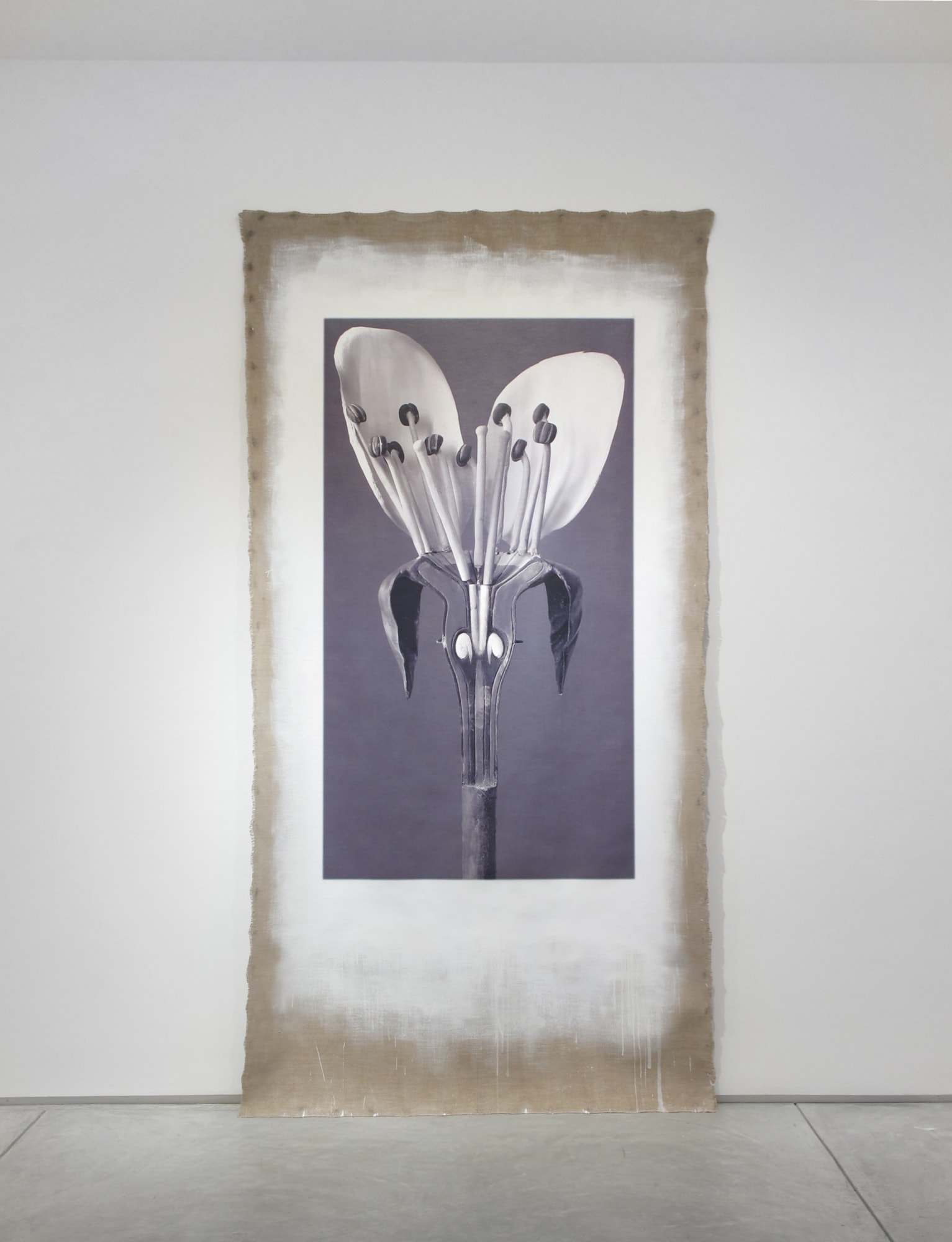 Linarejos Moreno: Art Forms in Mechanism