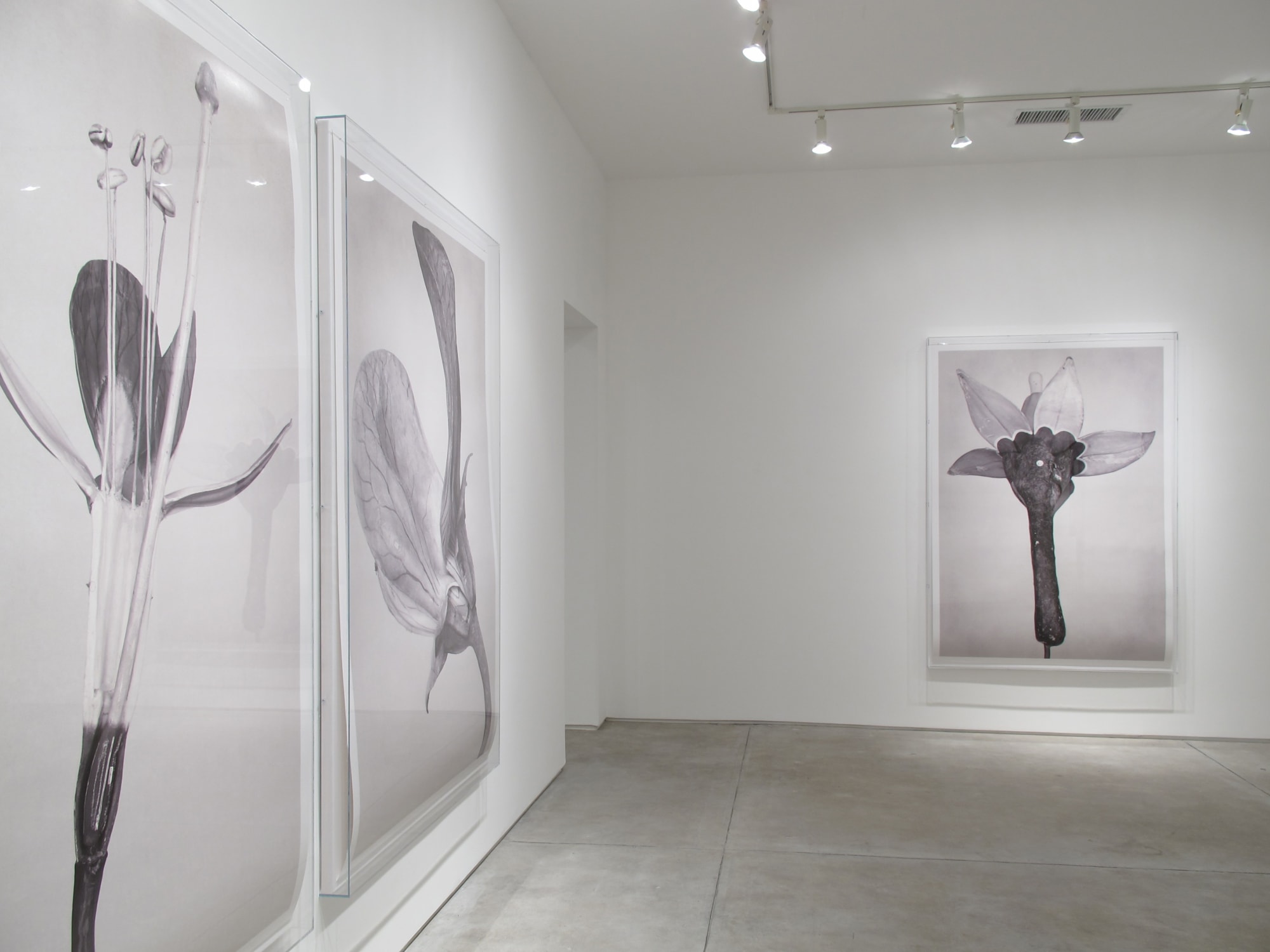 Linarejos Moreno: Art Forms in Mechanism