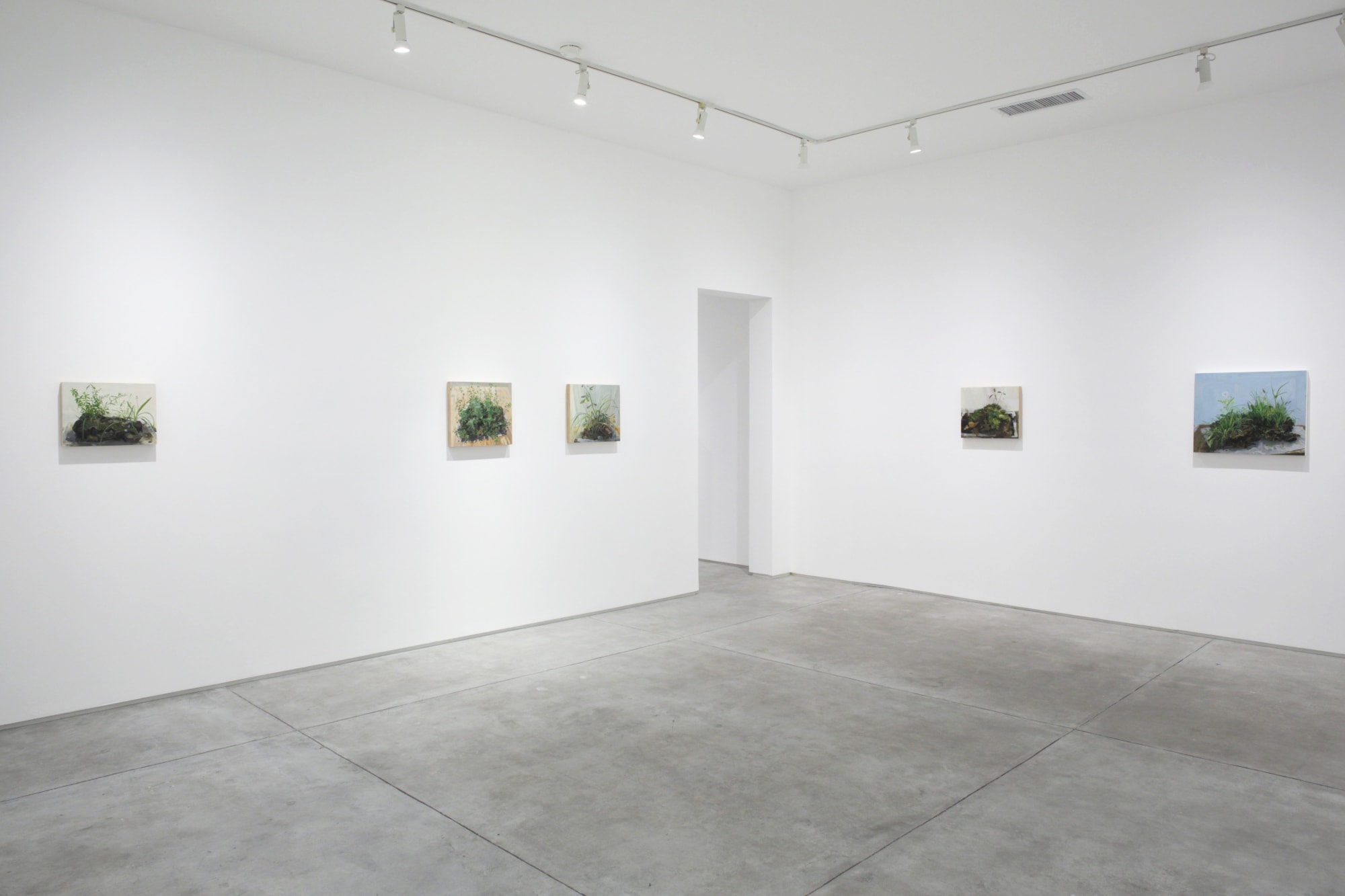 Kristin Musgnug: Disturbed Ground