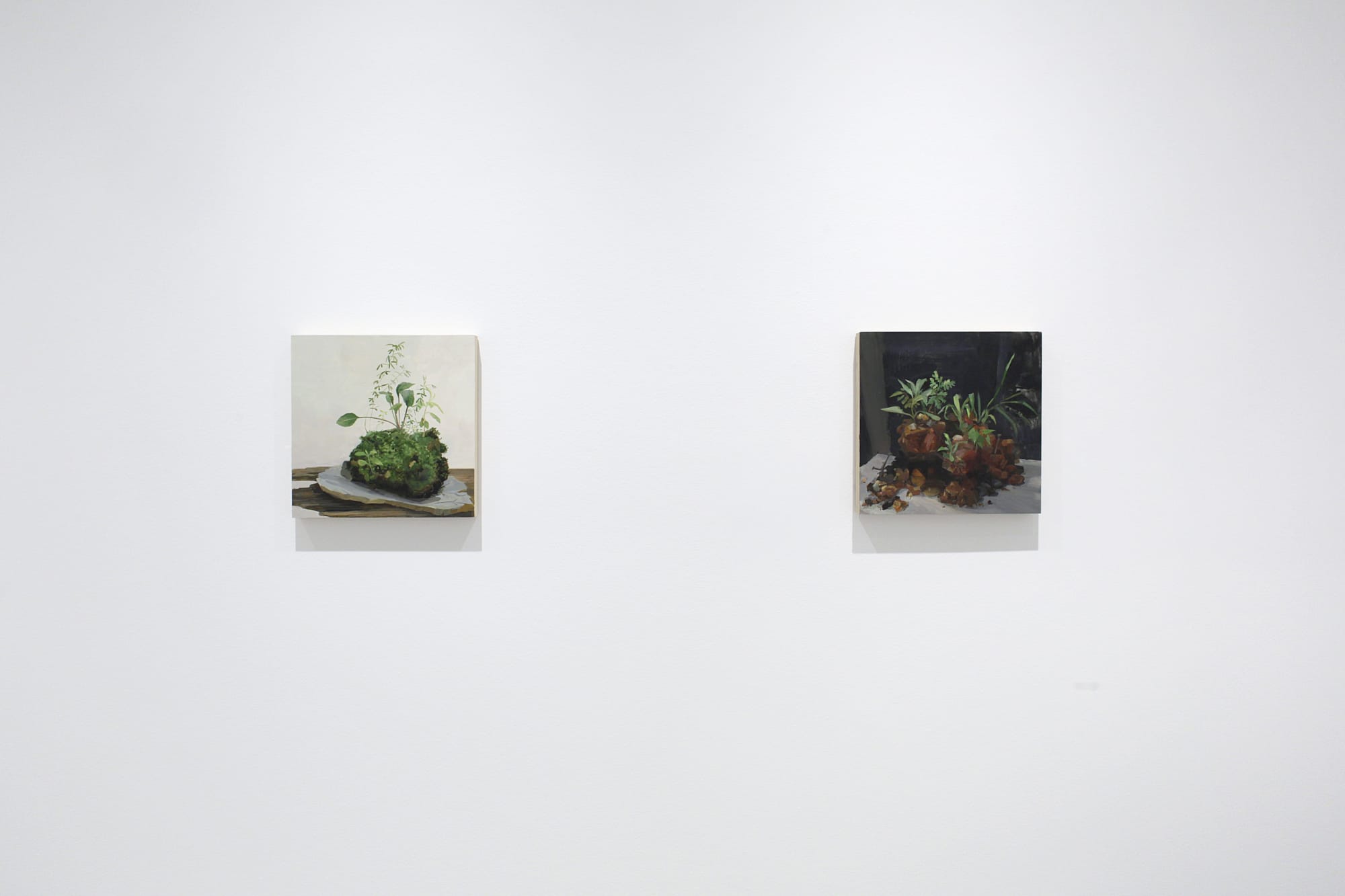 Kristin Musgnug: Disturbed Ground