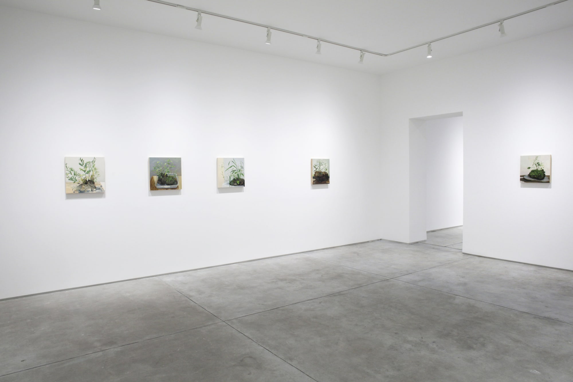 Kristin Musgnug: Disturbed Ground