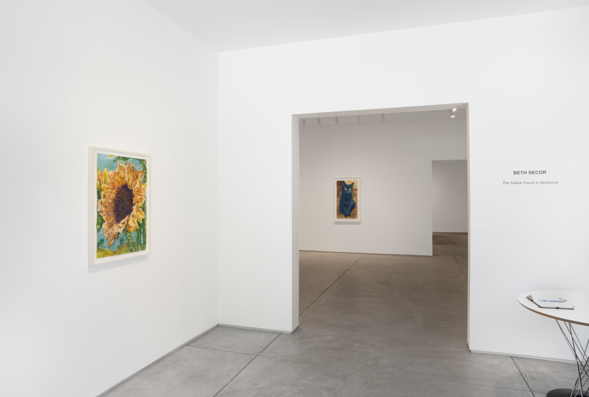 Beth Secor: The Solace Found in Sentience