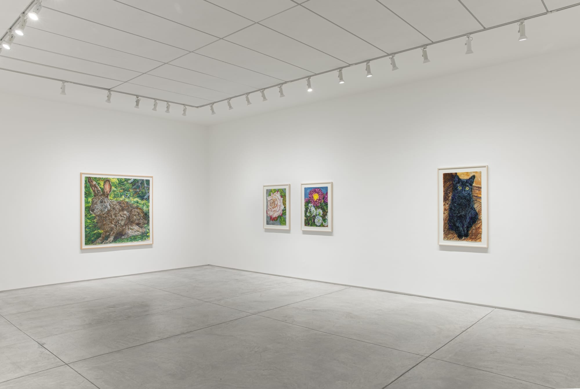 Beth Secor: The Solace Found in Sentience