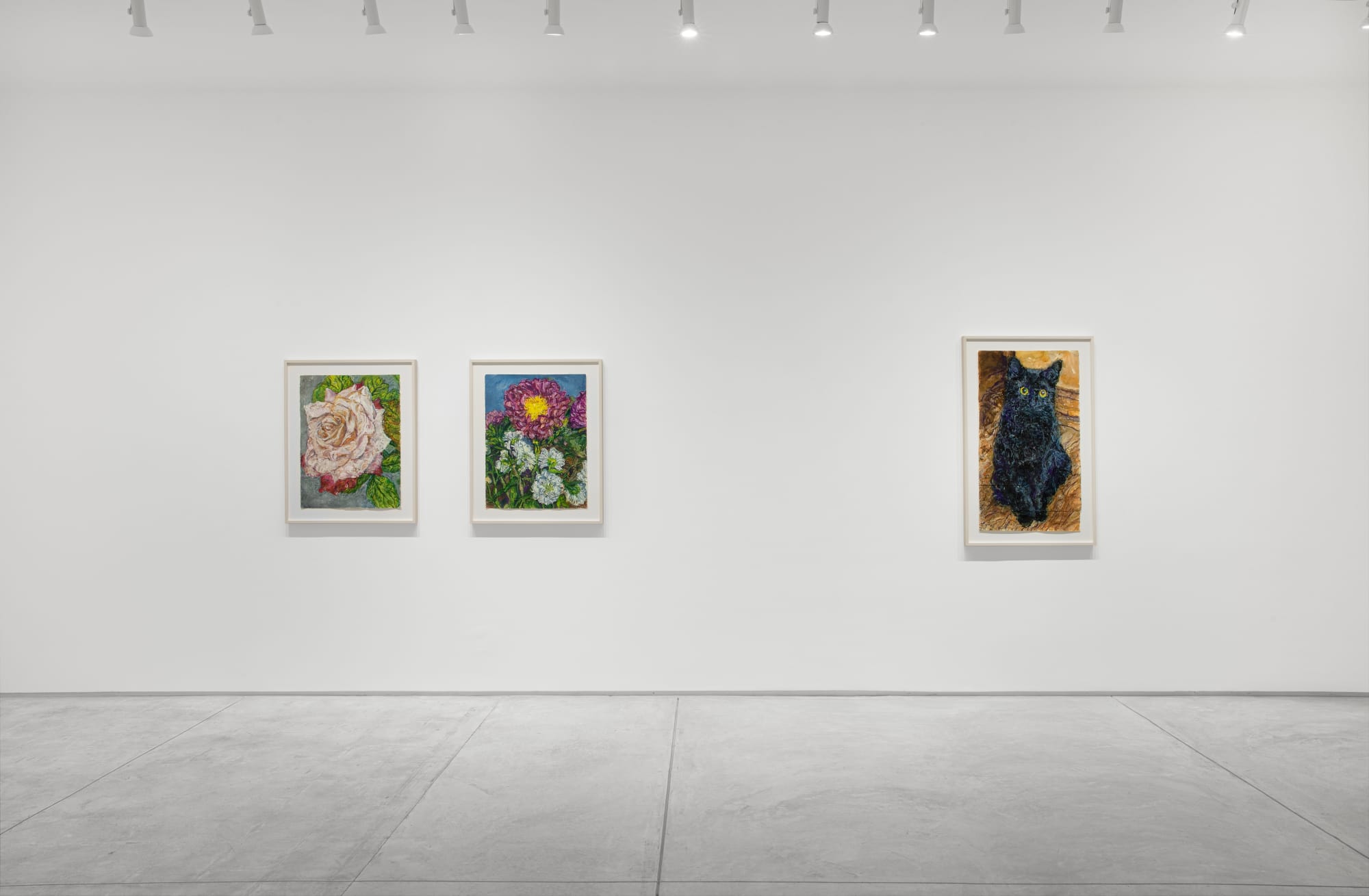 Beth Secor: The Solace Found in Sentience