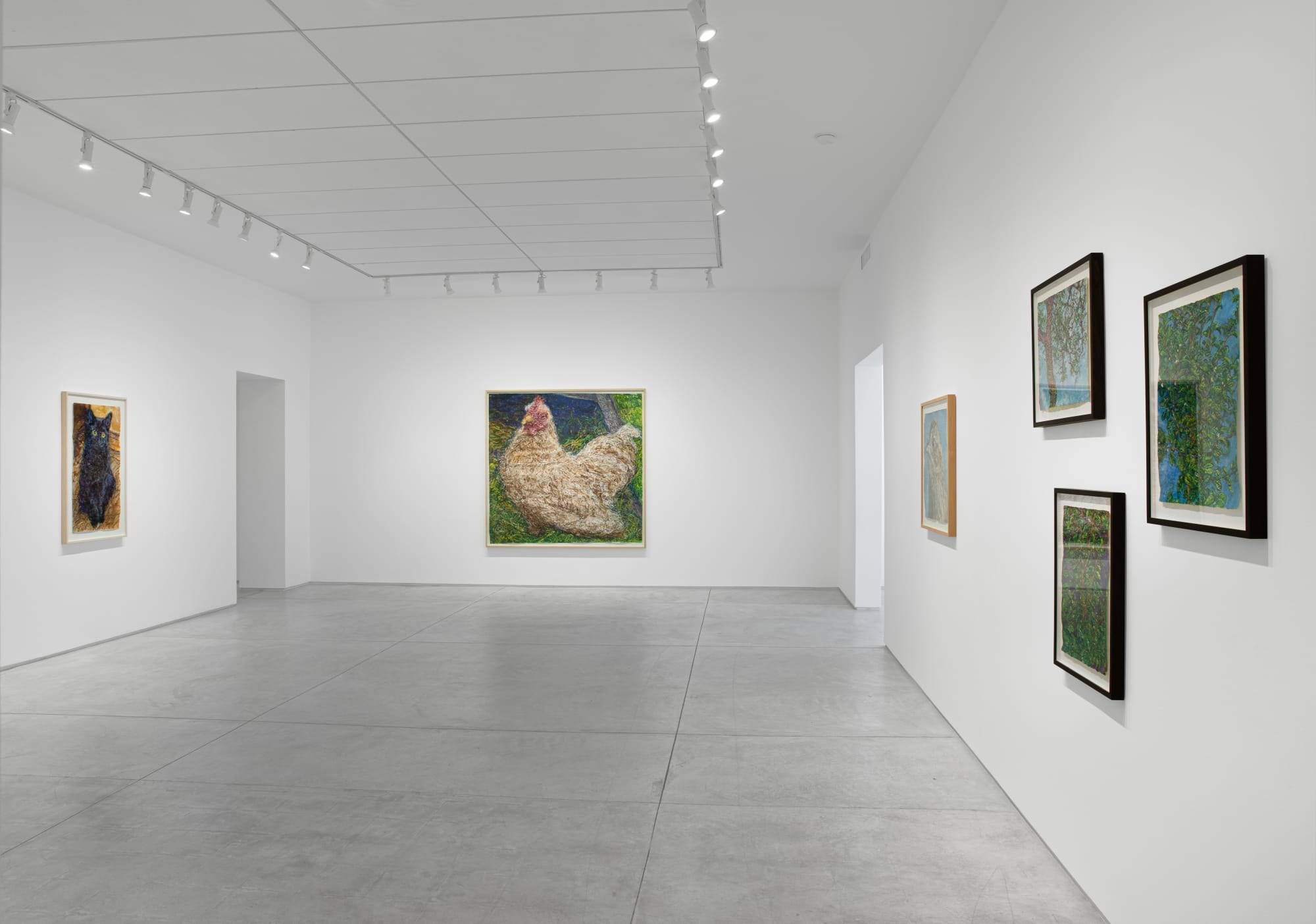 Beth Secor: The Solace Found in Sentience