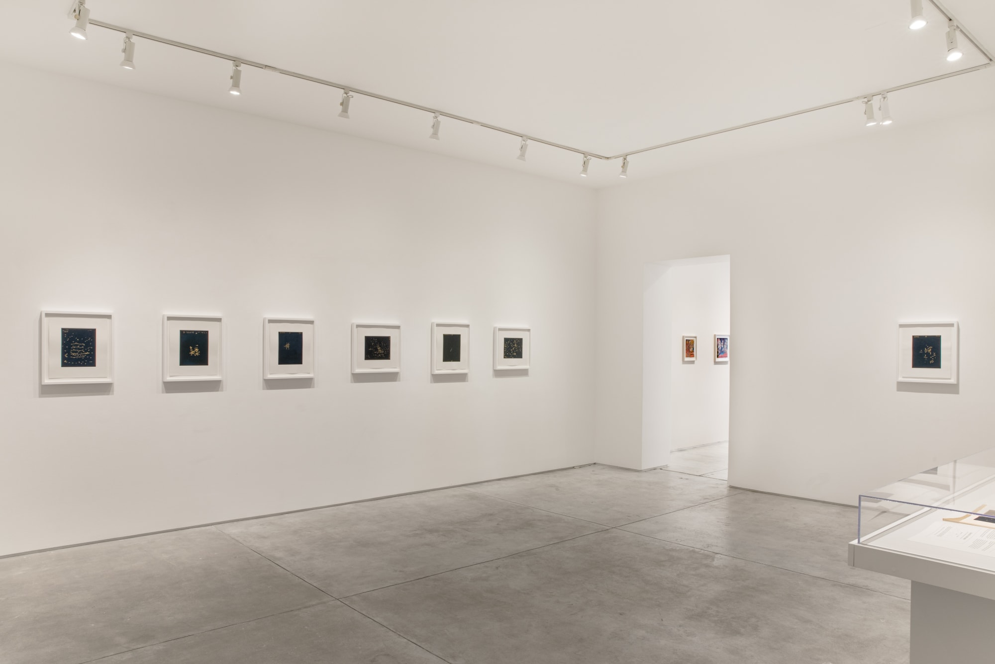 Erika Blumenfeld: Tracing Luminaries