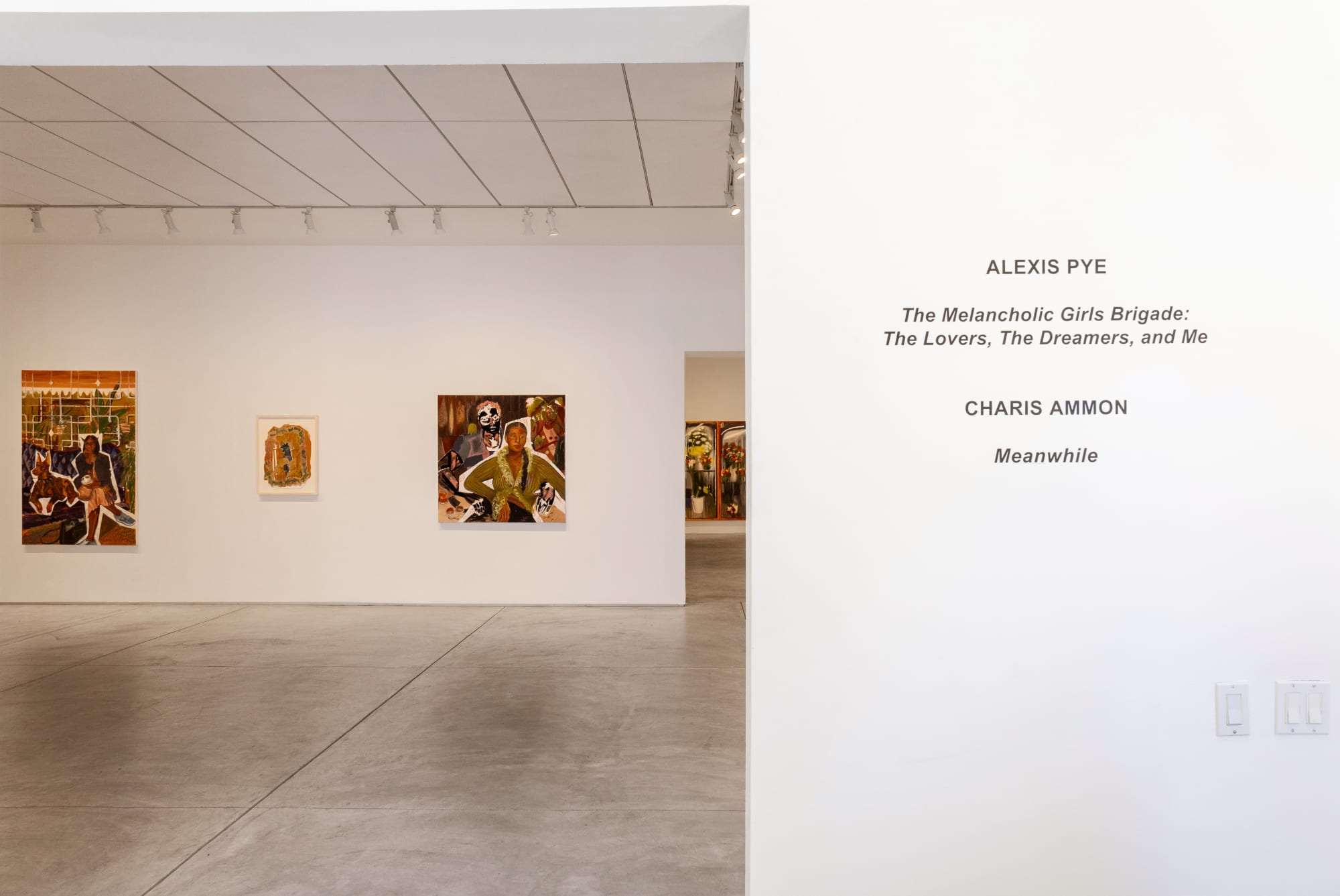 Alexis Pye: The Melancholic Girls Brigade: The Lovers, The Dreamers, and Me