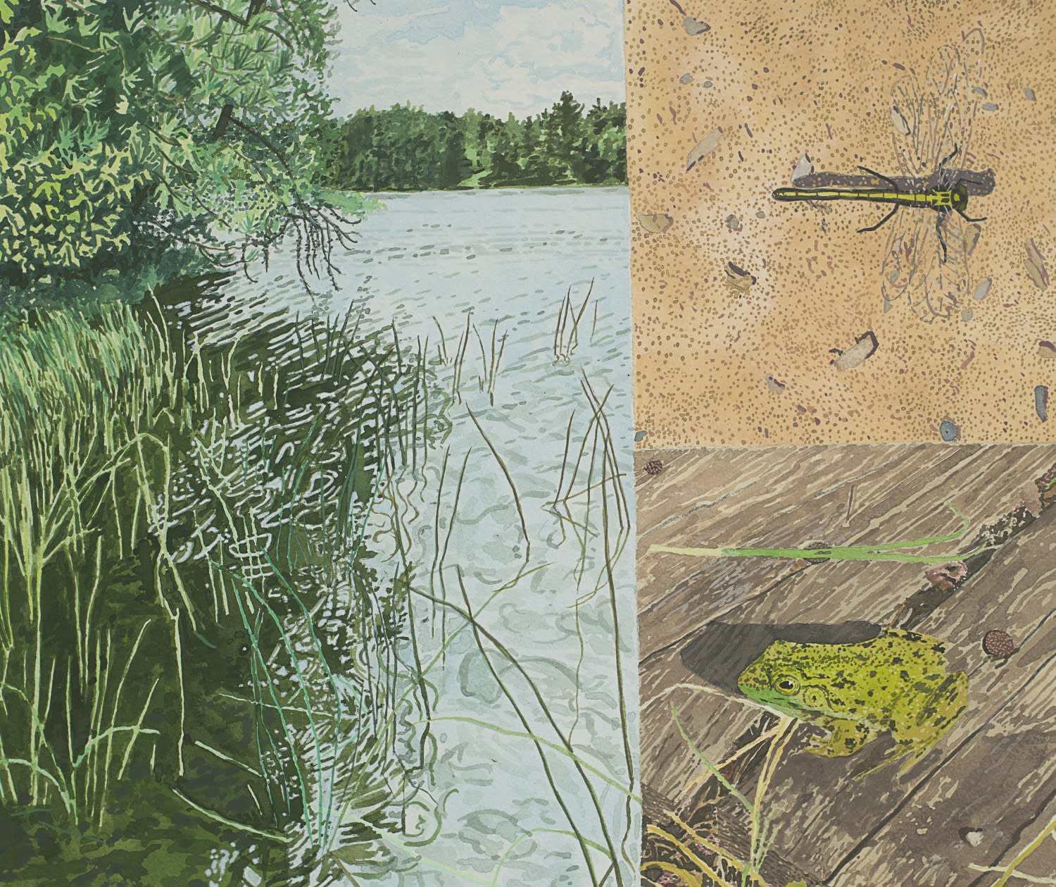 Breehan James, Cottage Book Painting: Lake/Frog/Dragonfly, 2020 acrylic gouache on paper on panel, 11 x 13 in