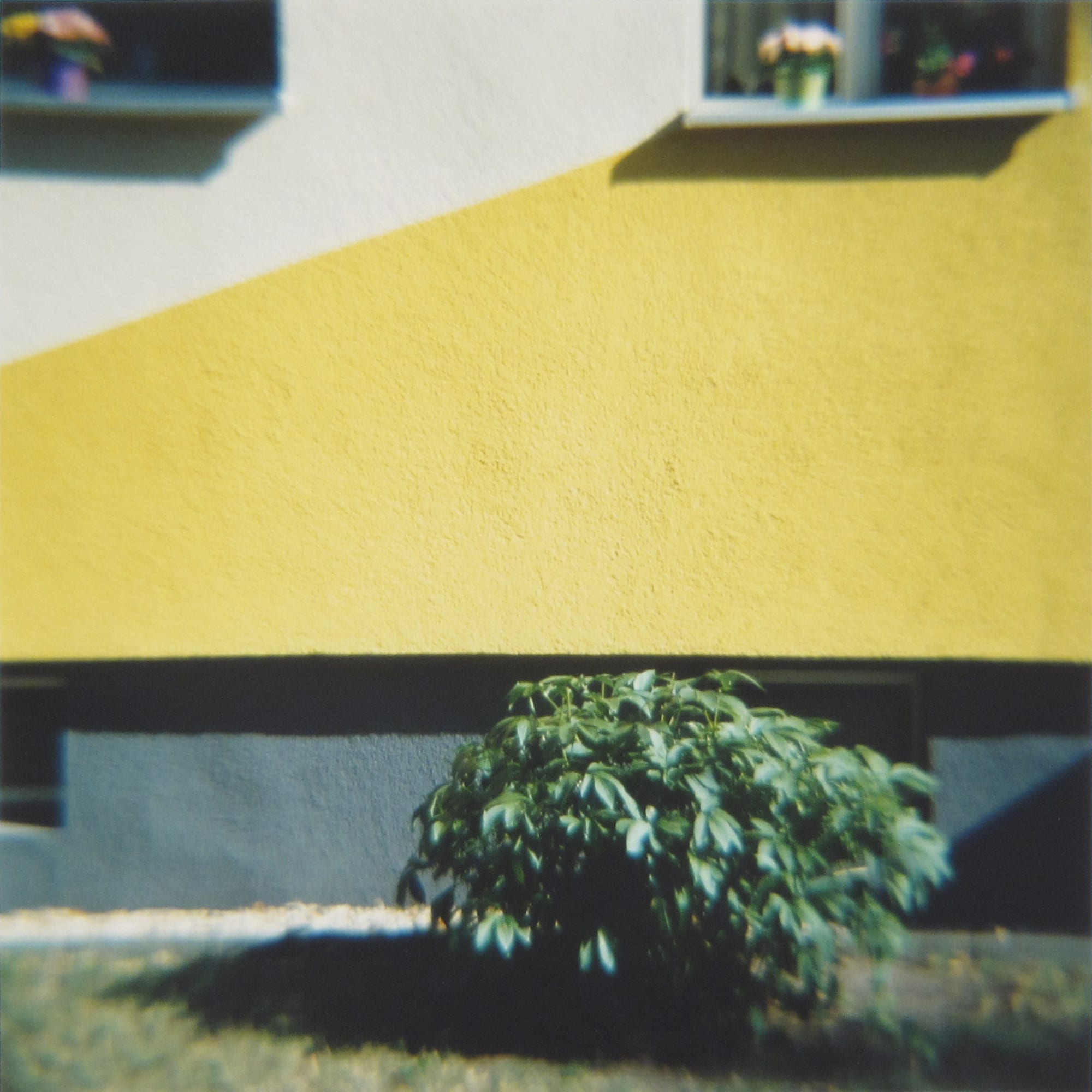 Amy Blakemore Yellow Wall, 2018 chromogenic print 15 x 15 in (38.1 x 38.1 cm) ABL 242 $3,000