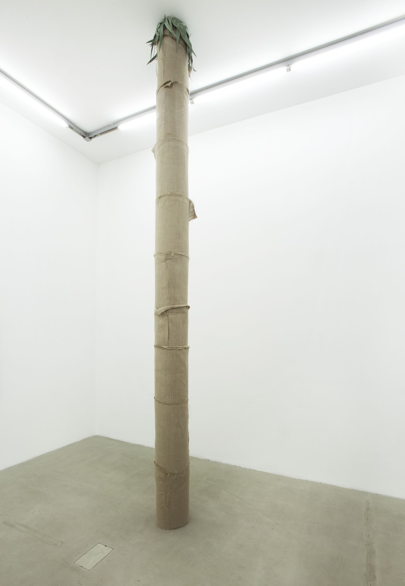 Judith Hopf, Palmenbaum, 1999-2020
