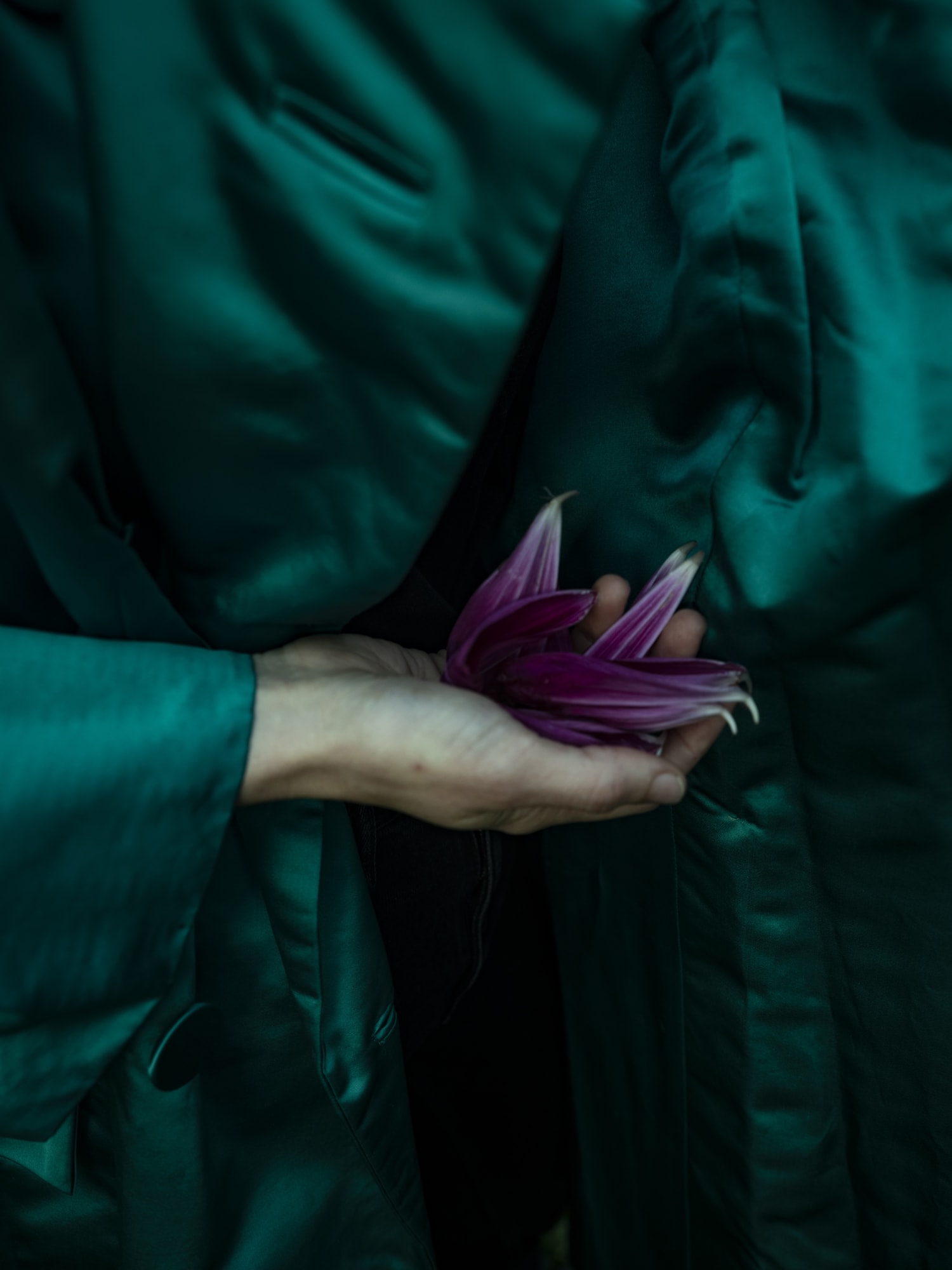Cig Harvey, Emerald Coat with Dahlia Petals, 2019 20 x 16 inch chromogenic dye coupler print Edition of 10 40 x 30 inch chromogenic dye coupler print Edition of 7