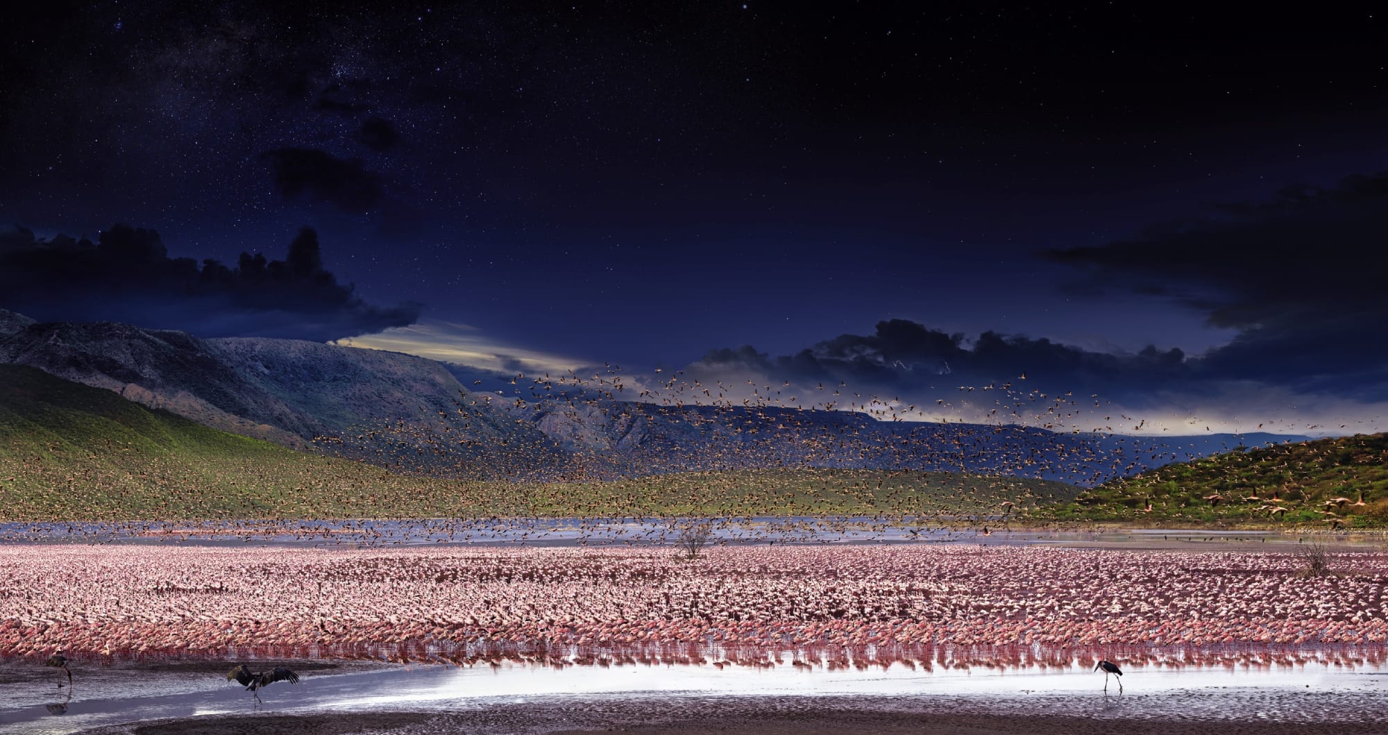 Stephen Wilkes Lesser Flamingos, Lake Bogoria Kenya, Africa, Day to Night, 2017 Signed on label verso 24 x 45 1/2 inch archival pigment print Edition of 20 34 x 64 inch archival pigment print Edition of 15 50 x 94 inch archival pigment print Edition of 12 60 x 113 inch archival pigment print Edition of 2
