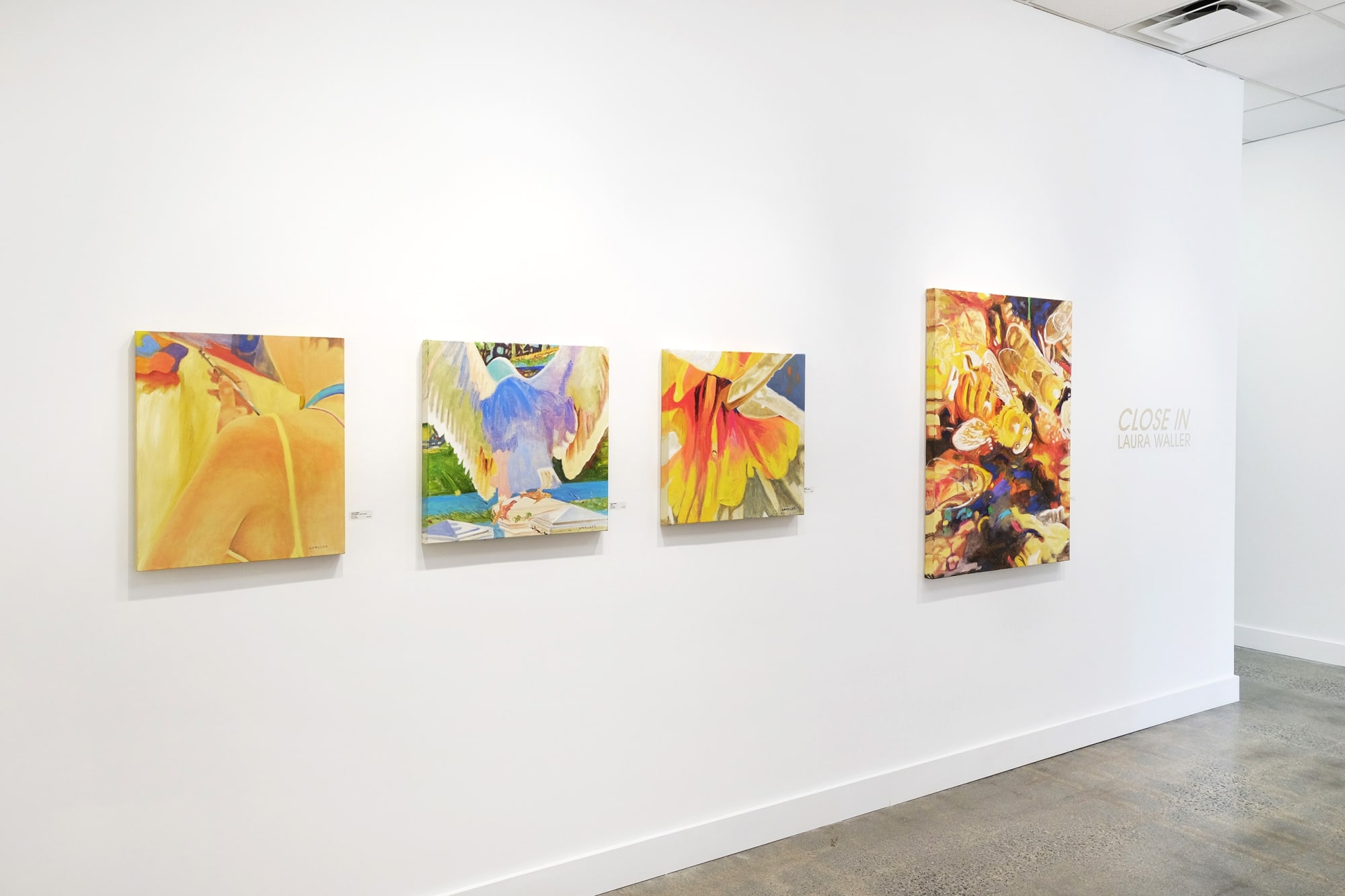 Laura Waller: Close In