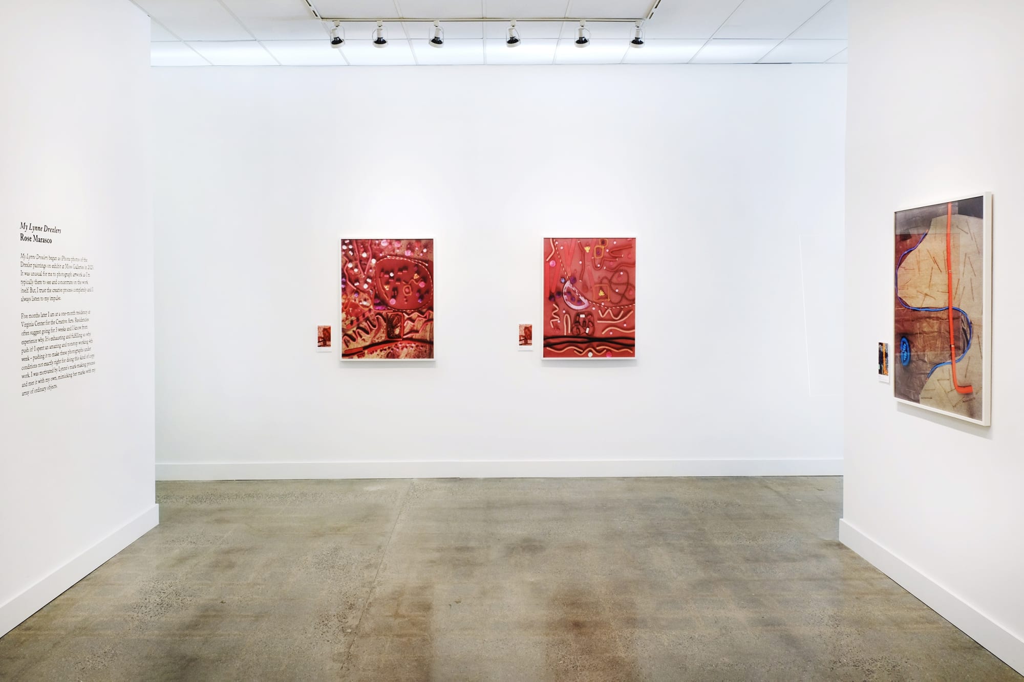 Rose Marasco: My Lynne Drexlers