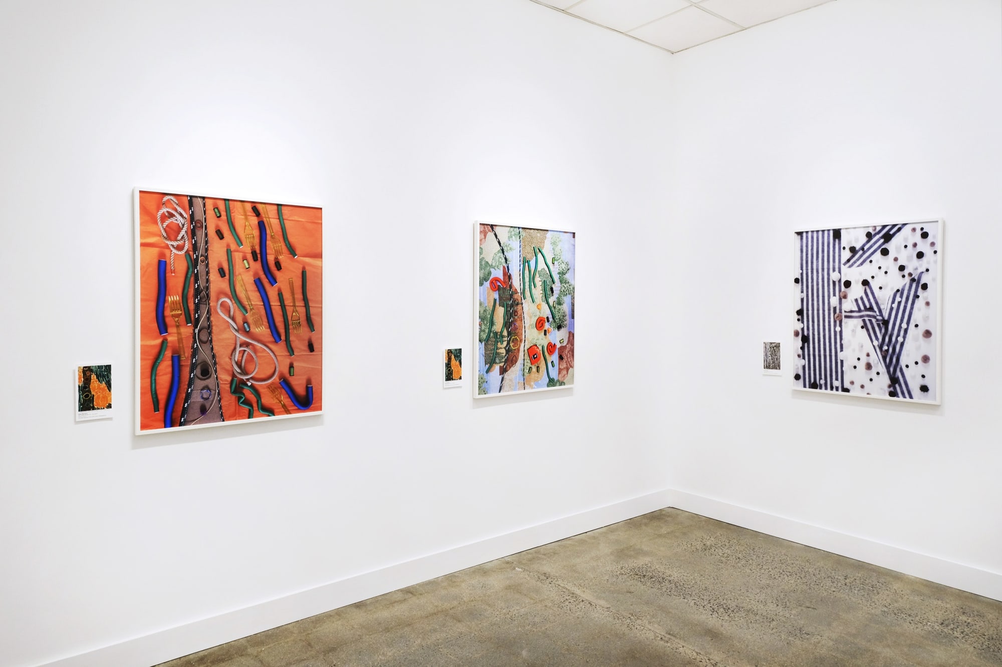 Rose Marasco: My Lynne Drexlers