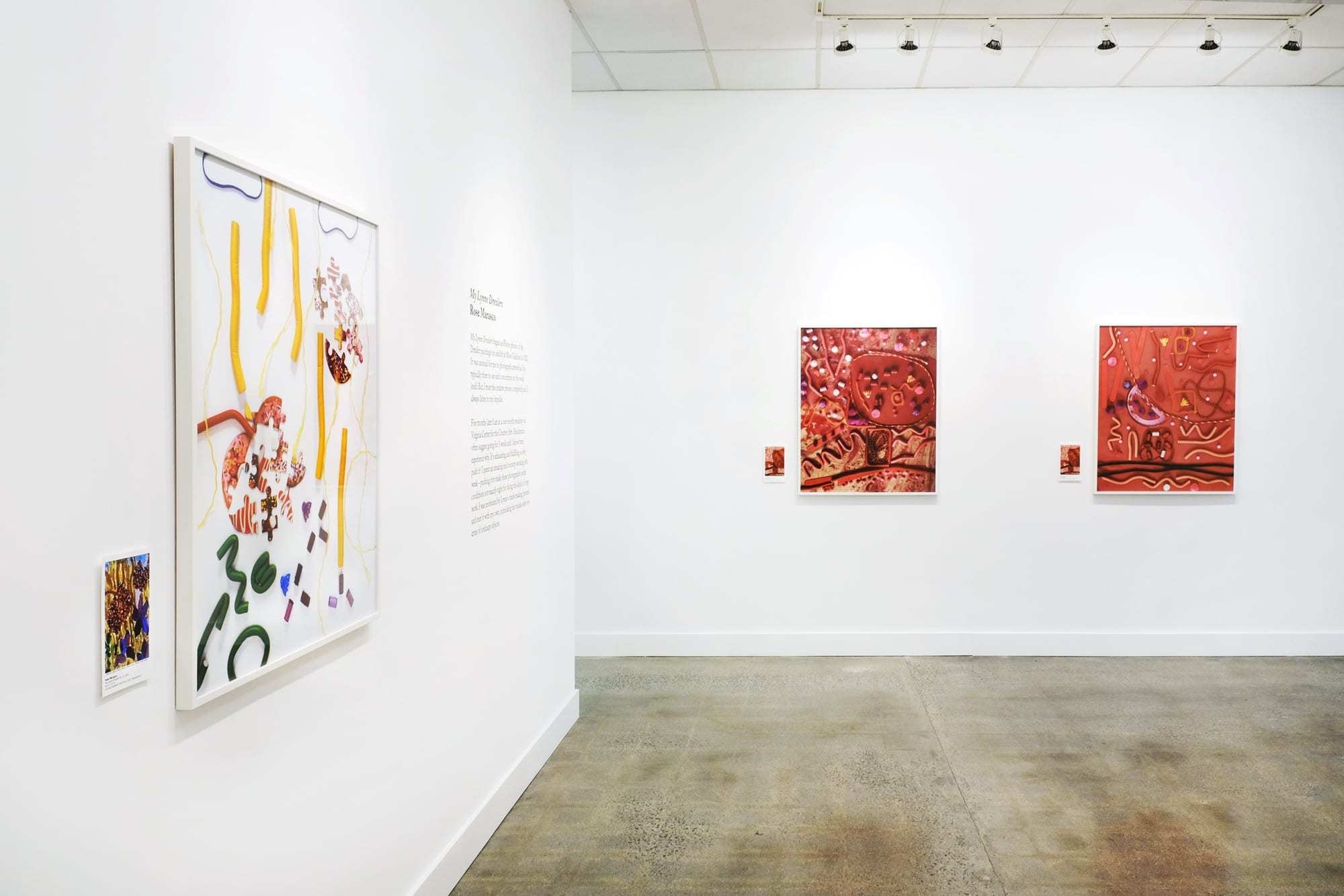 Rose Marasco: My Lynne Drexlers