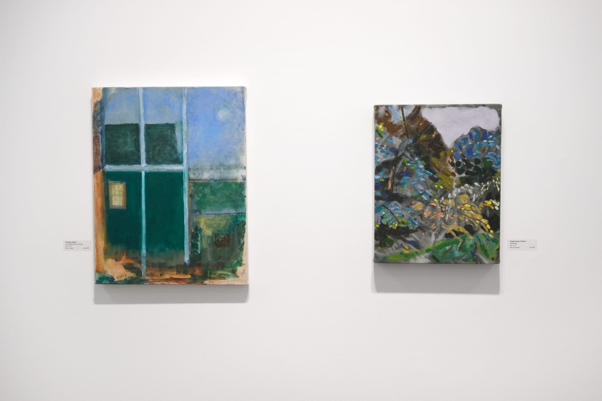 Who Knows What Grows in the Morning Light