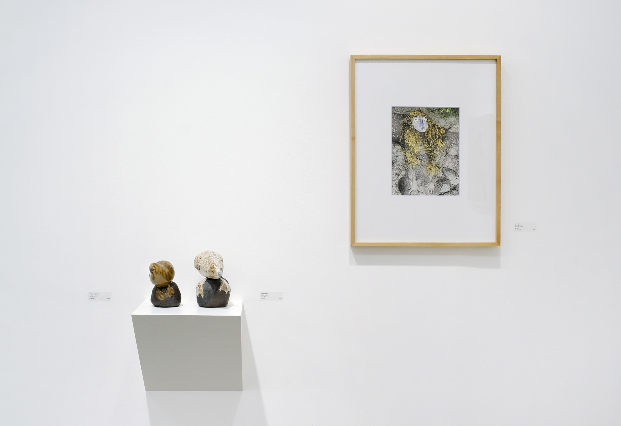 Torrie Dorsey: A Lot of Memories