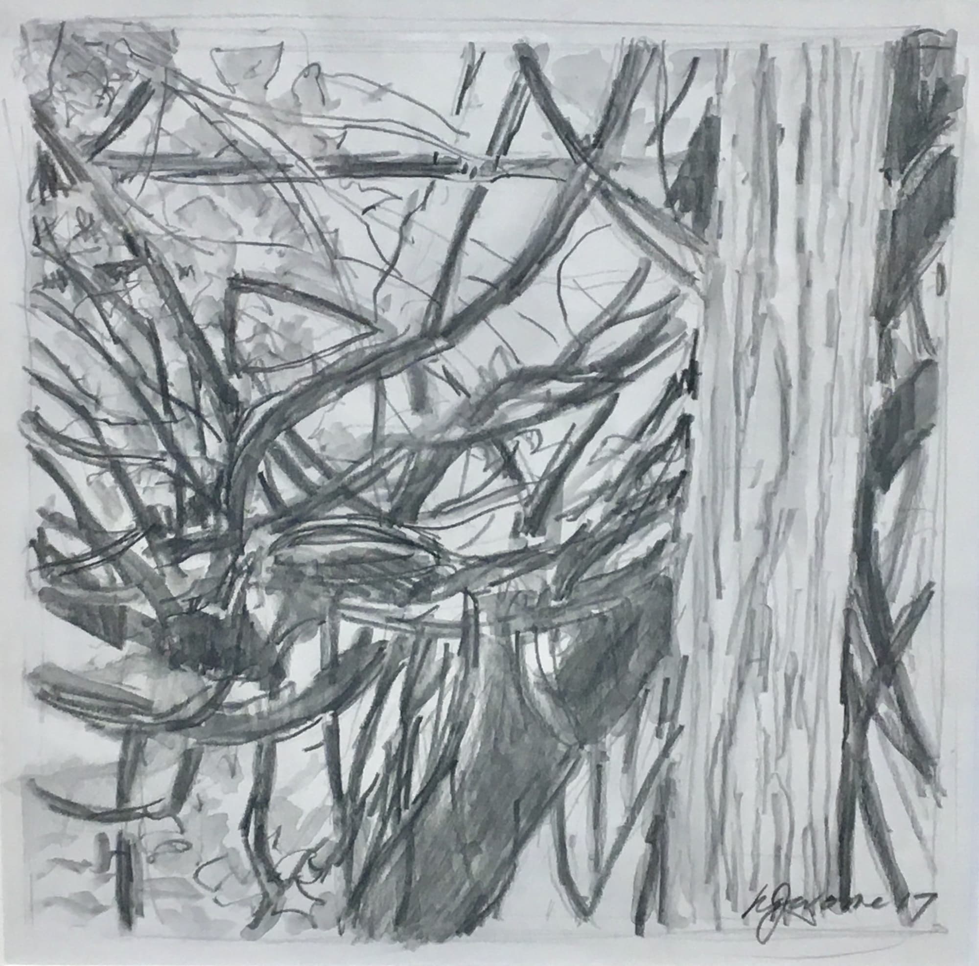 Nina Jerome: Entangled Space