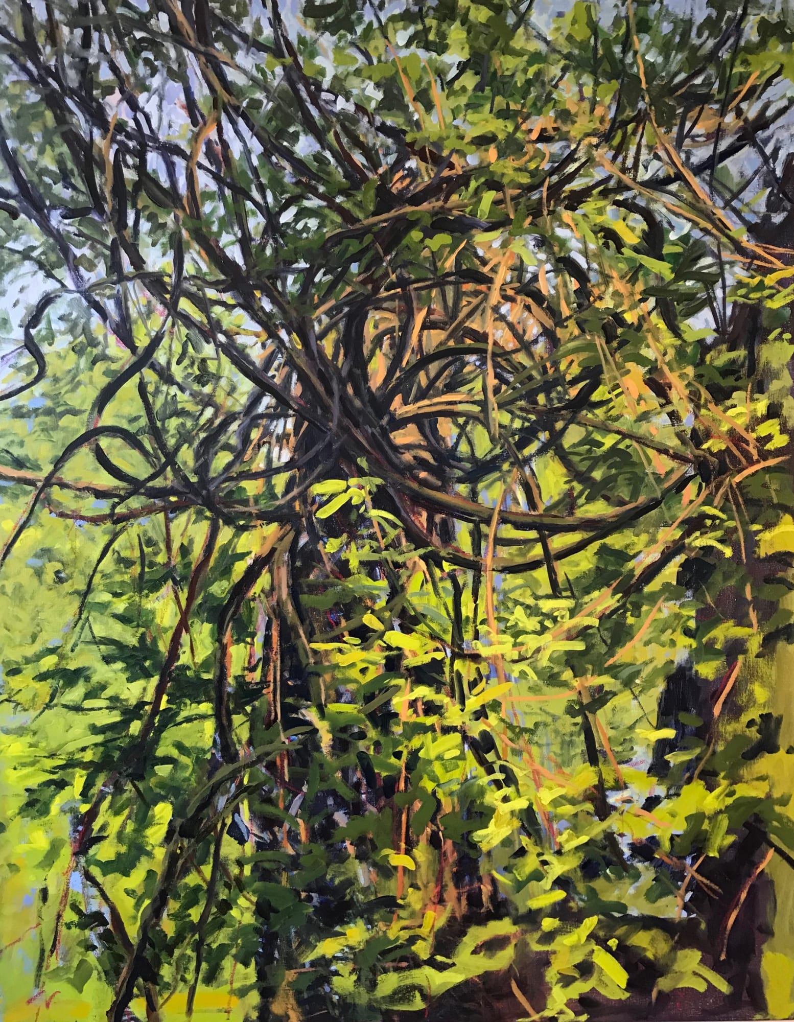 Nina Jerome: Entangled Space