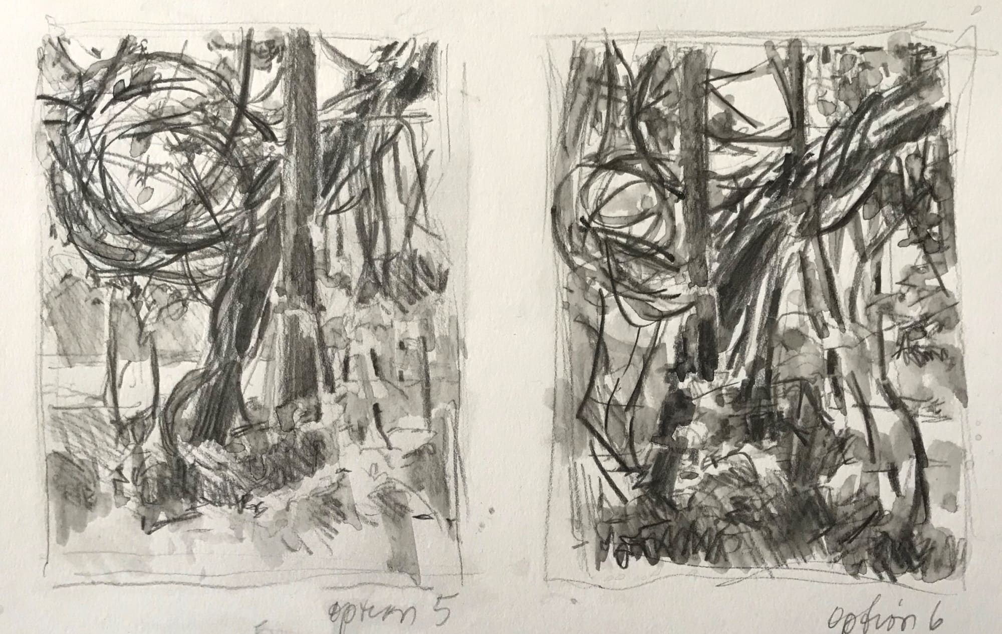 Nina Jerome: Entangled Space