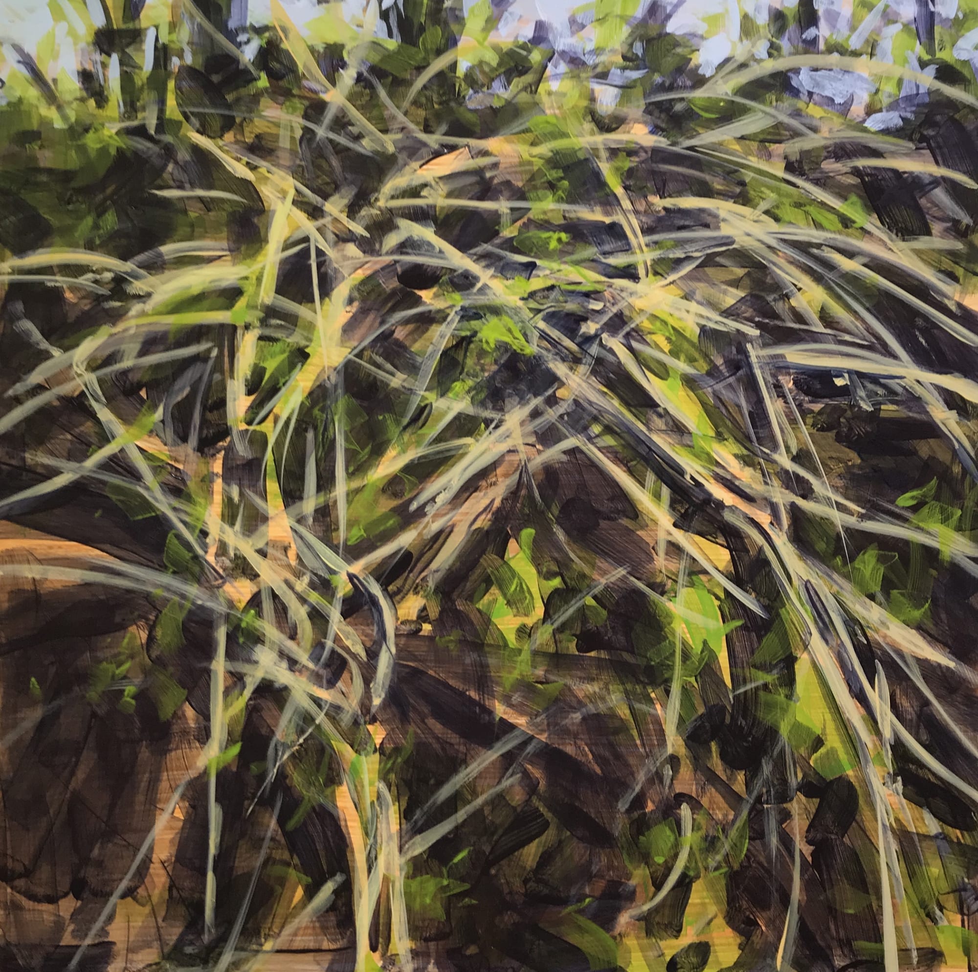 Nina Jerome: Entangled Space