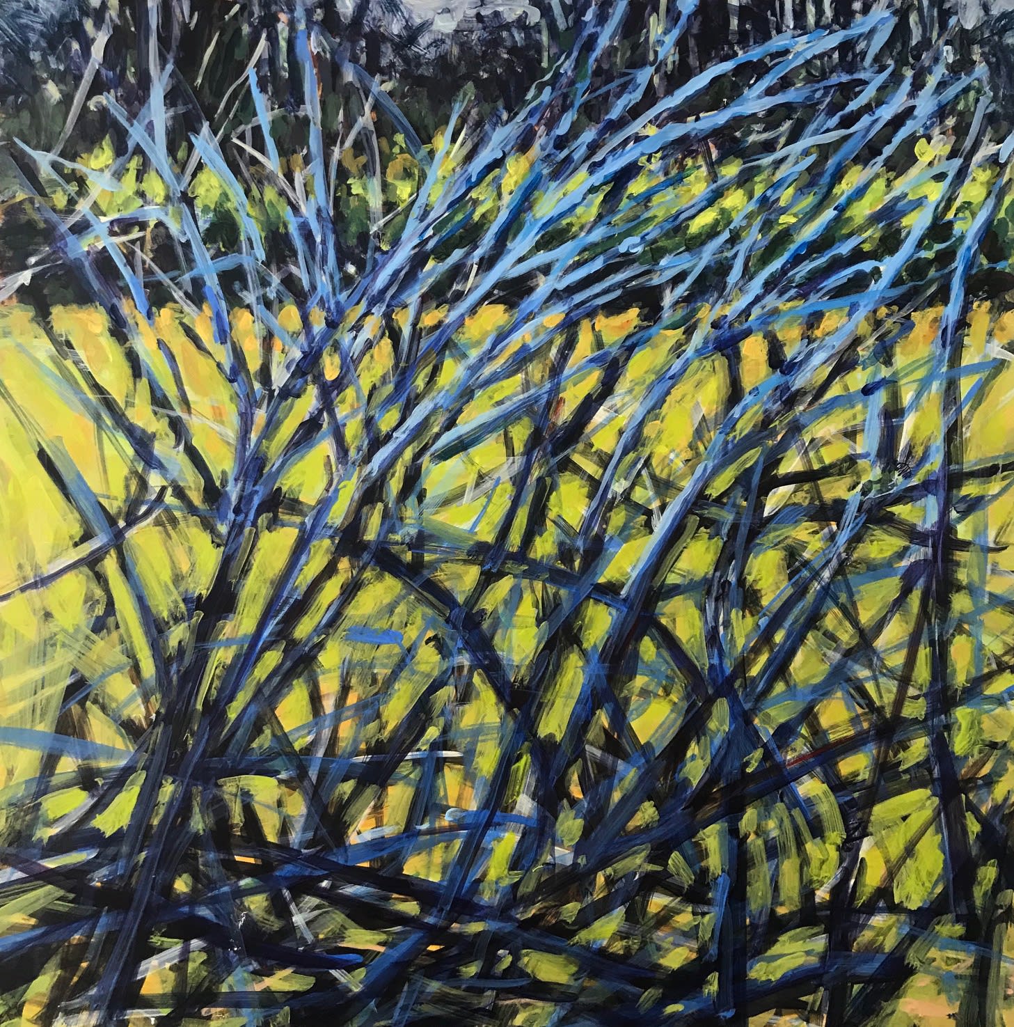 Nina Jerome: Entangled Space