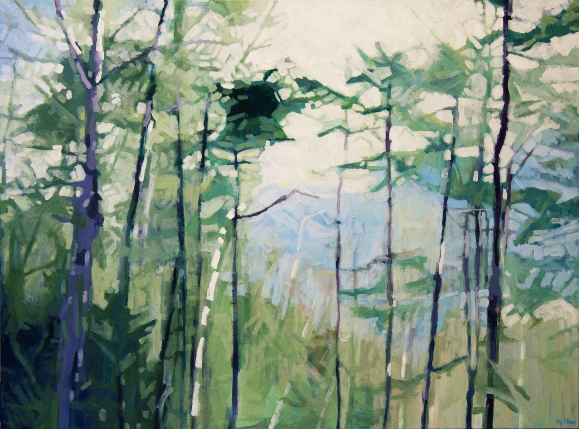 Liz Hoag: Beyond The Trees