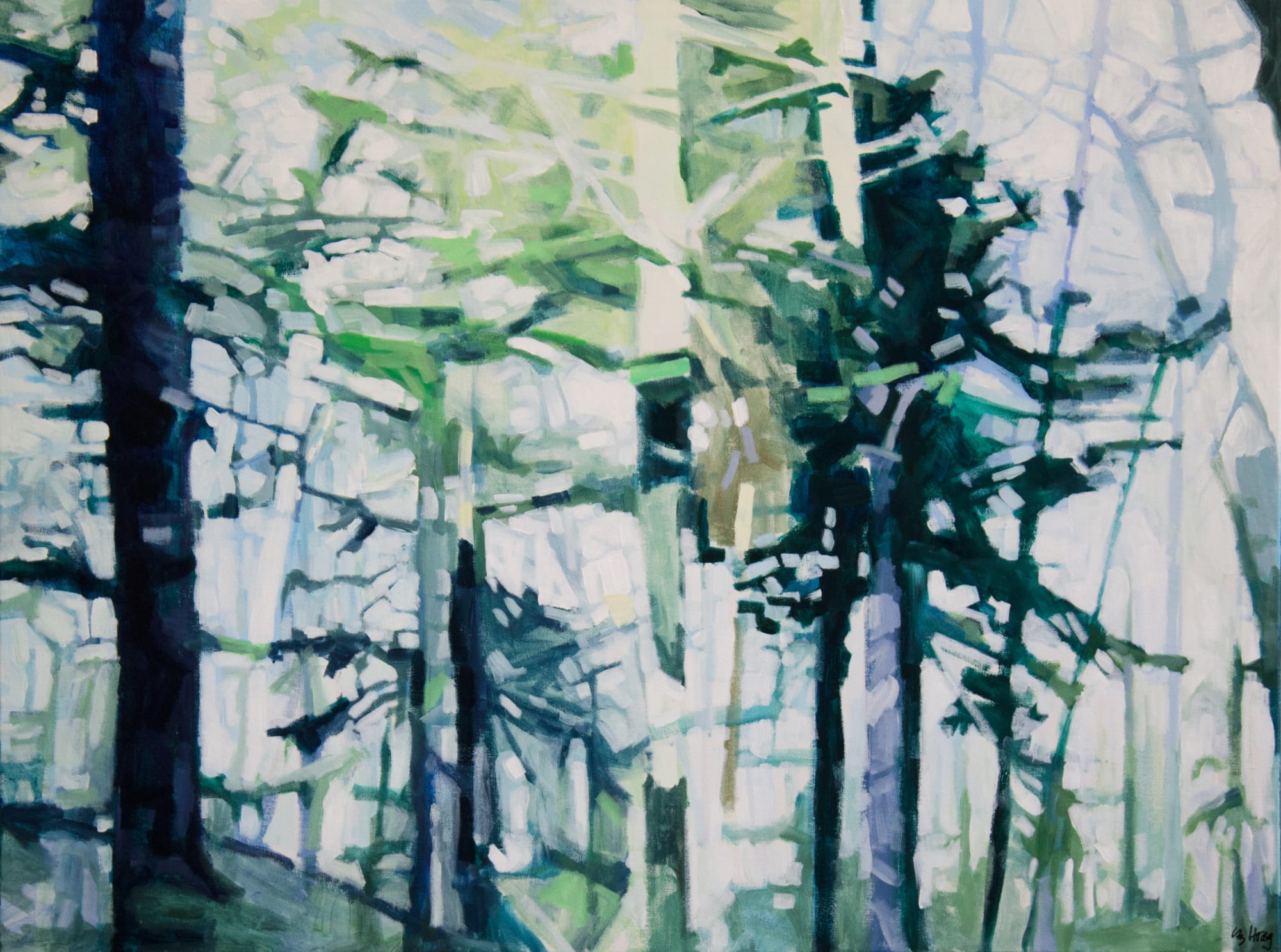 Liz Hoag: Beyond The Trees