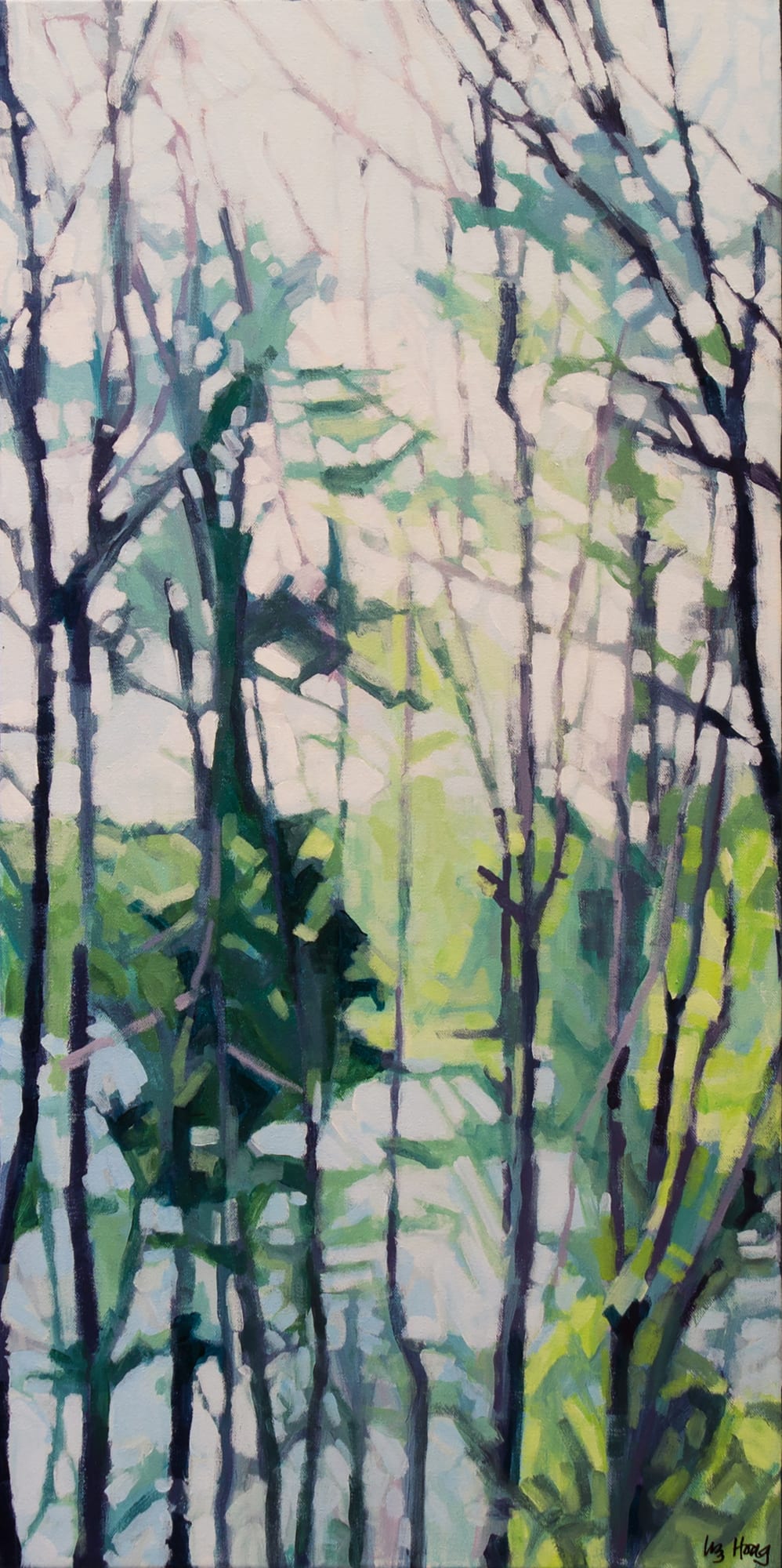 Liz Hoag: Beyond The Trees