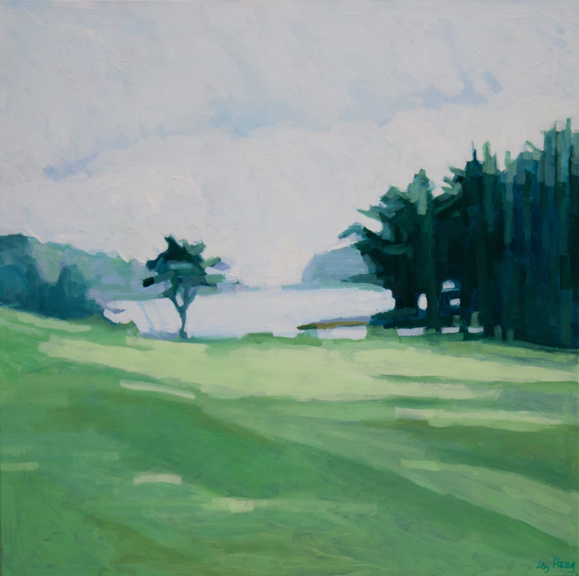 Liz Hoag: Beyond The Trees