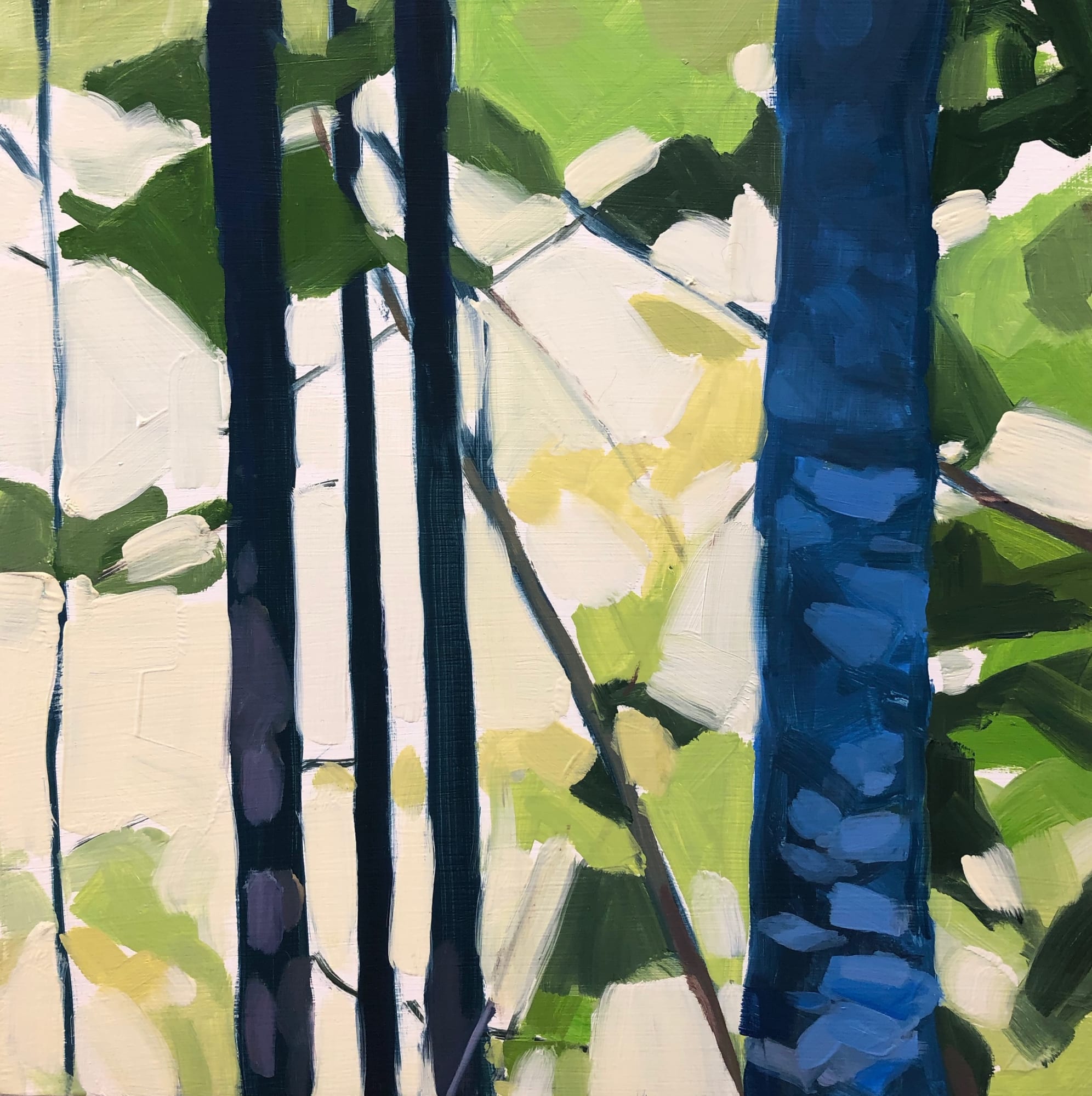 Anne Ireland: Walking Green