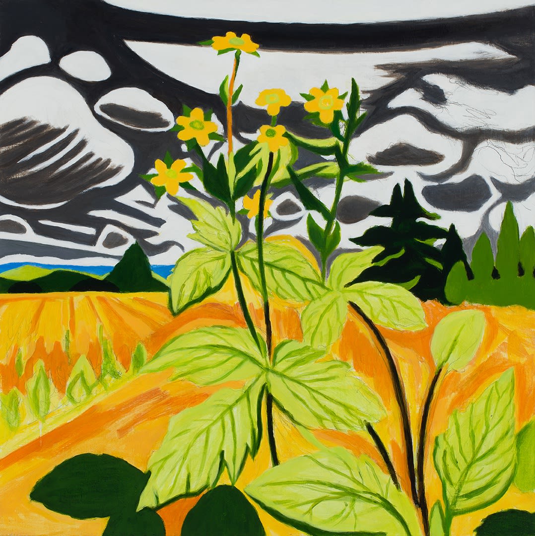 John Knight: Sunlight on Sweet Clover