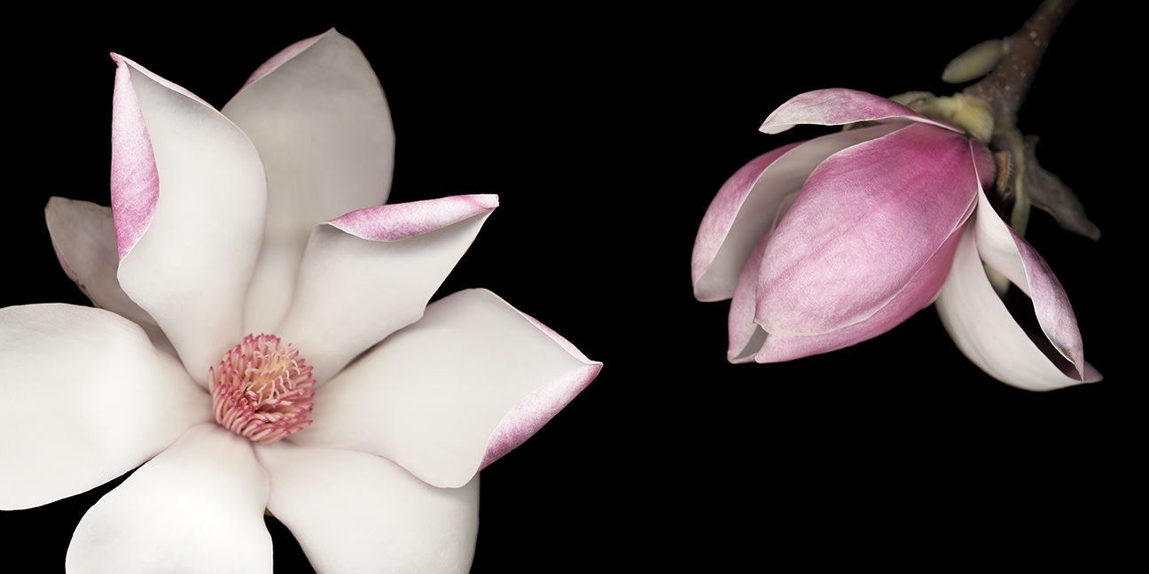 Joyce Tenneson & Craig Becker: Of Spirit and Light