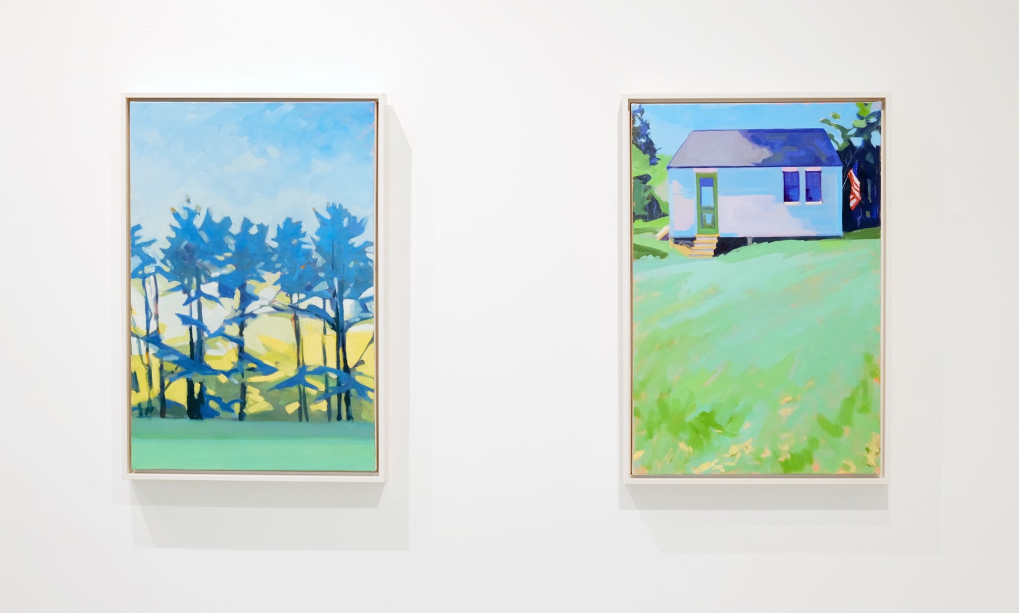 Anne Ireland: New Works