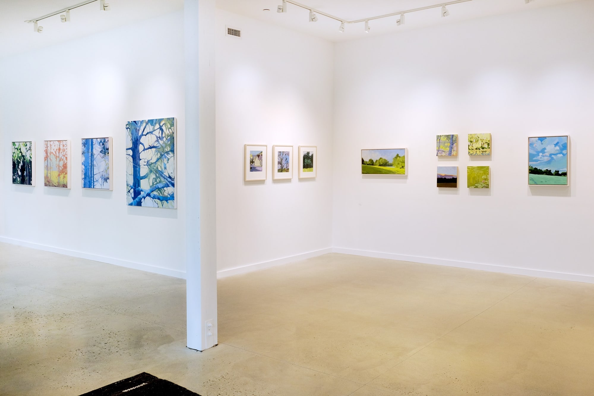 Anne Ireland: New Works