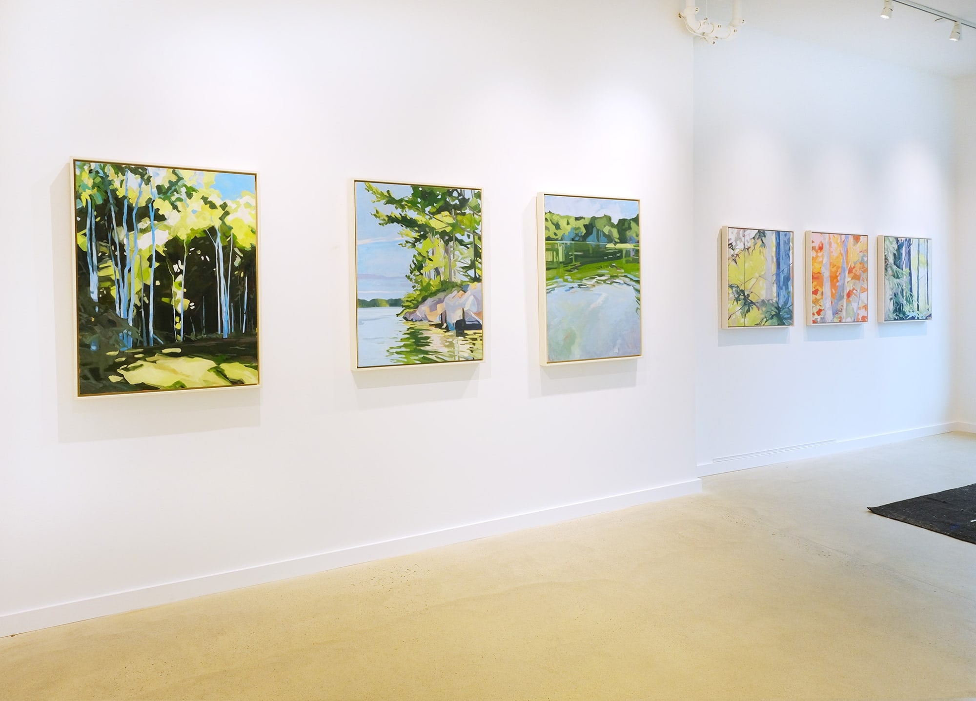 Anne Ireland: New Works