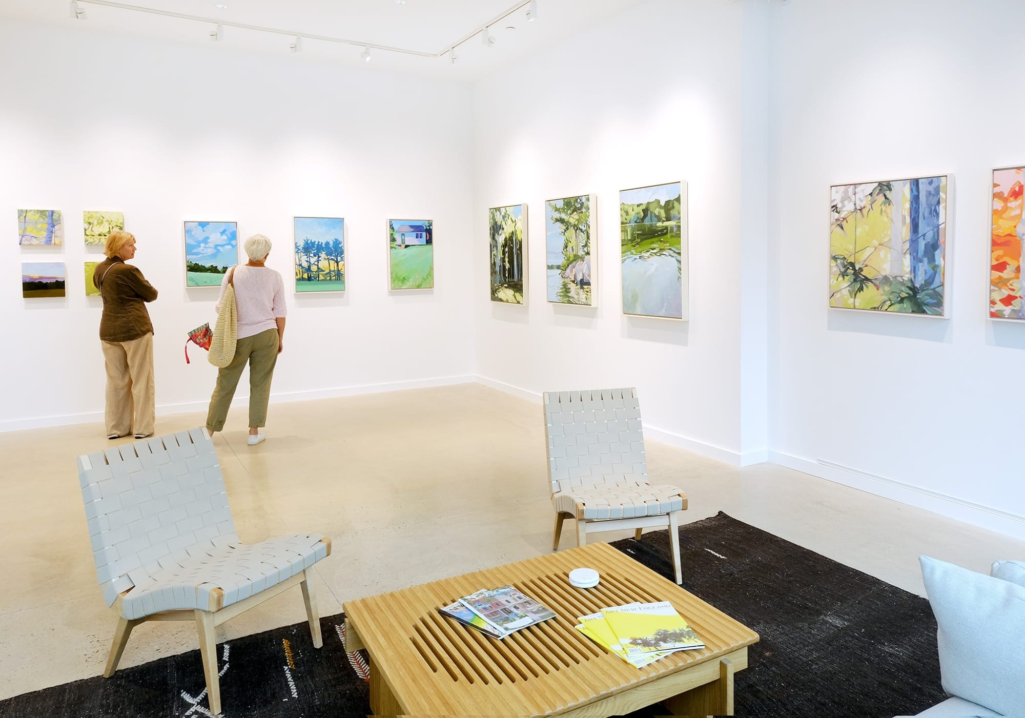 Anne Ireland: New Works