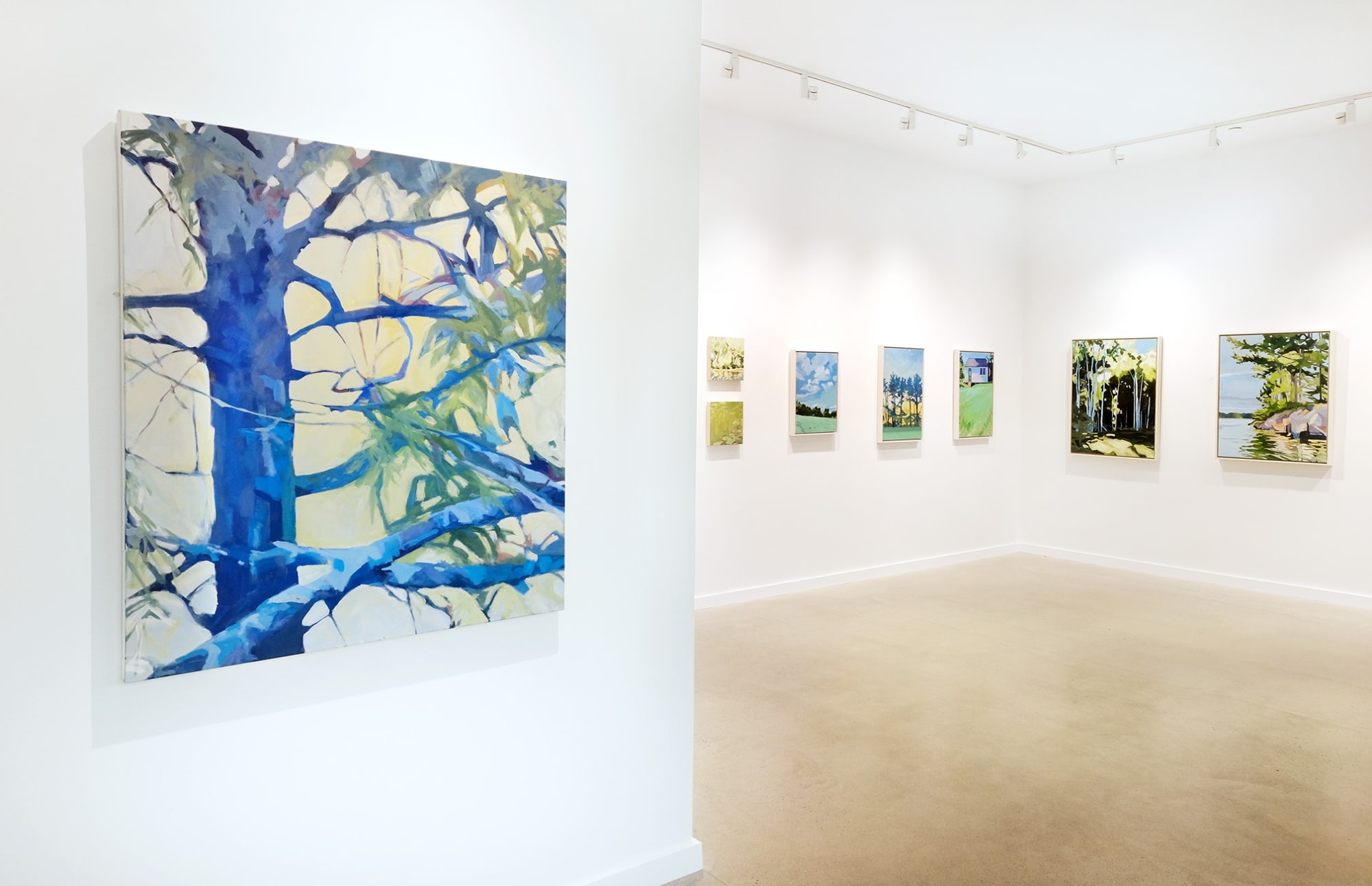 Anne Ireland: New Works