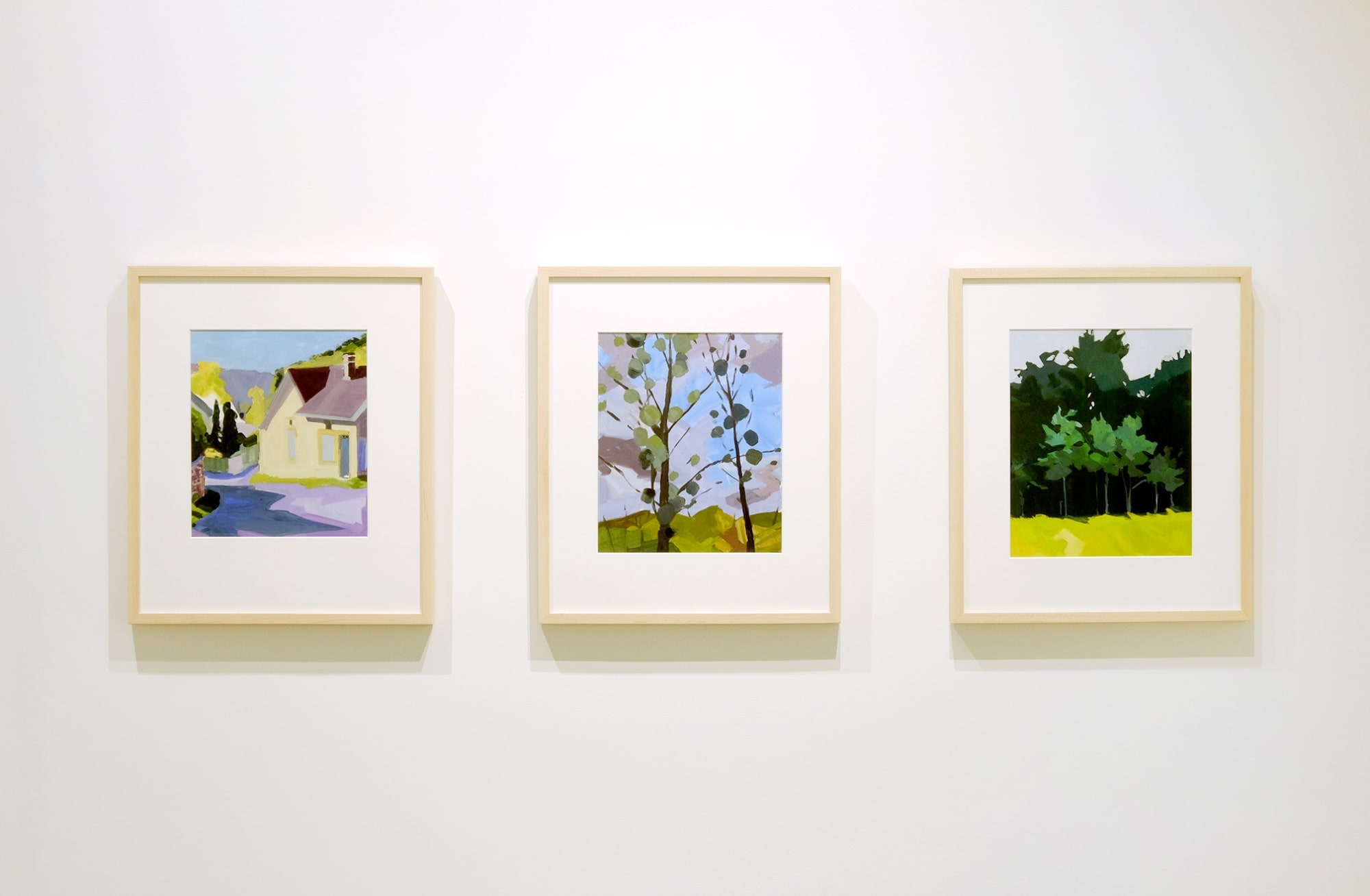 Anne Ireland: New Works