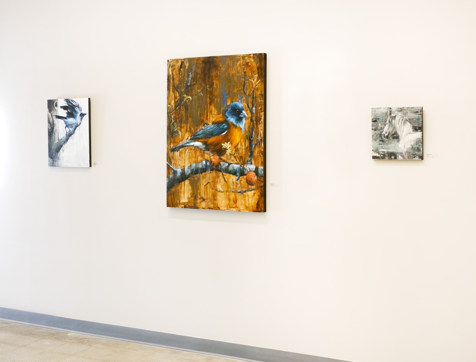 Morgan Cameron: Fur & Feathers