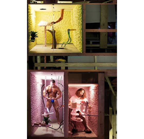 Divided into three sections, two pink, one yellow, each with a person in it