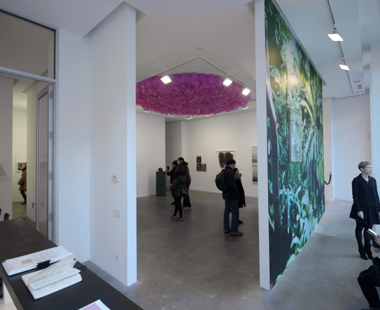 Installation view of "American Beauty" exhibition at Susan Inglett Gallery with people in the gallery