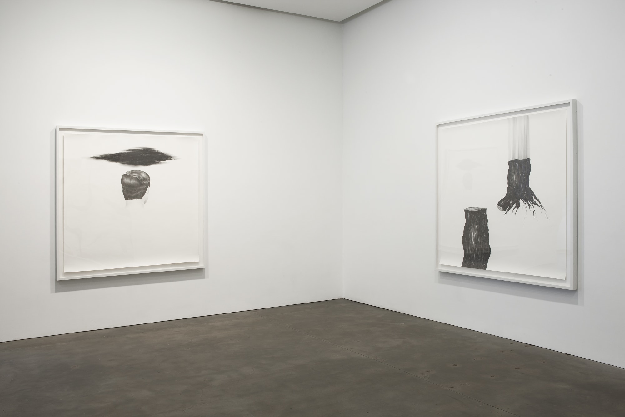 Installation view of two Robyn O'Neil drawings exhibited at Susan Inglett Gallery