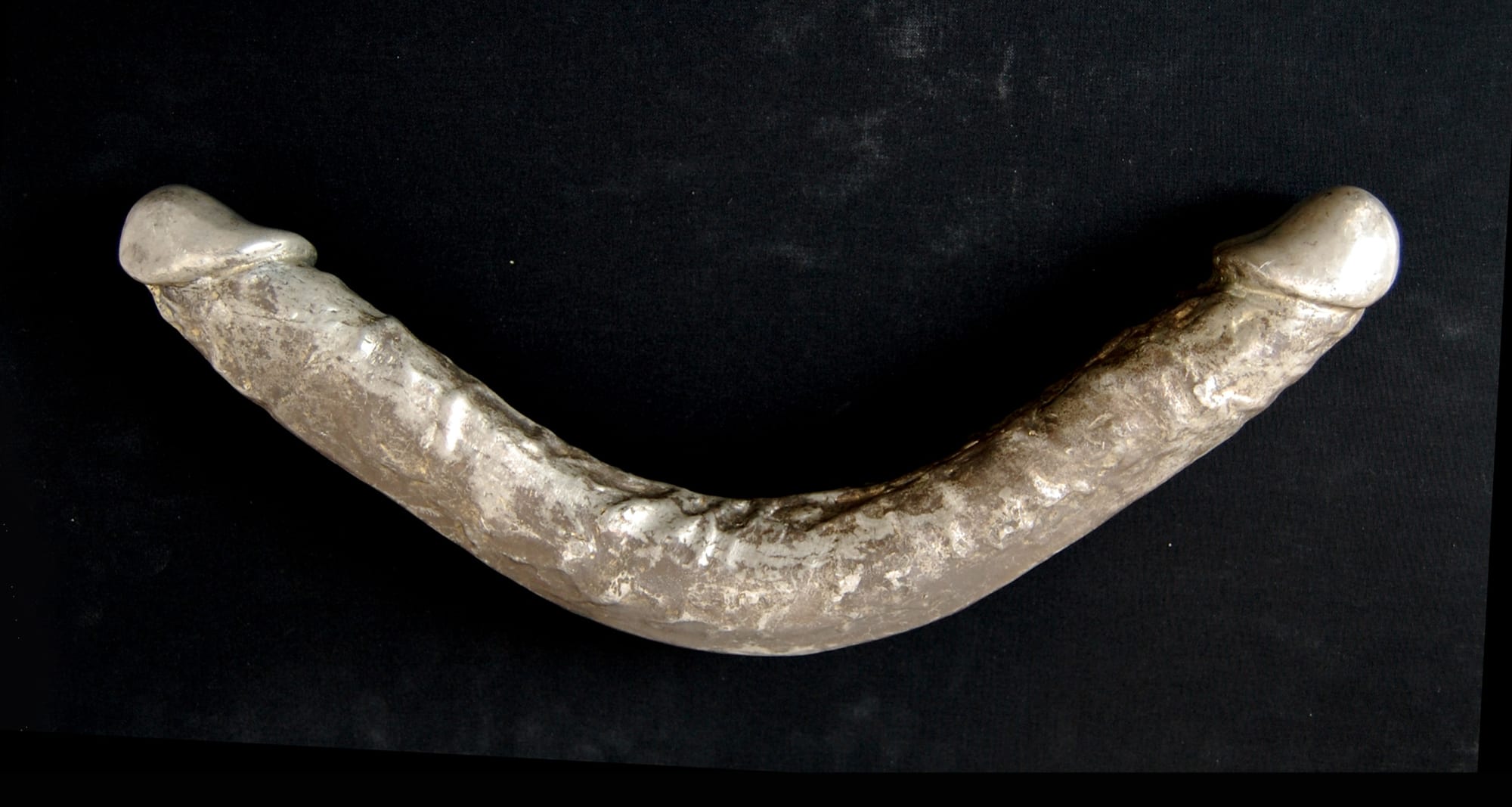 Curved sculpture of a double sided penis