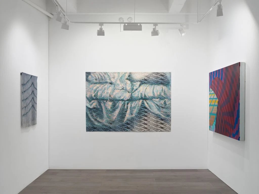 3 January 2026 Join us on Saturday, 10 January 2026, for a tour of Drop, Cloth with curators Glenn Adamson and Severin Delfs. The walkthrough and coffee hour will begin at Susan Inglett Gallery, and the conversation will continue at Hollis Taggart. The curators and artists will discuss the exhibition and the broad range of media assembled in the show. We will end the tour with light bites at Hollis Taggart.