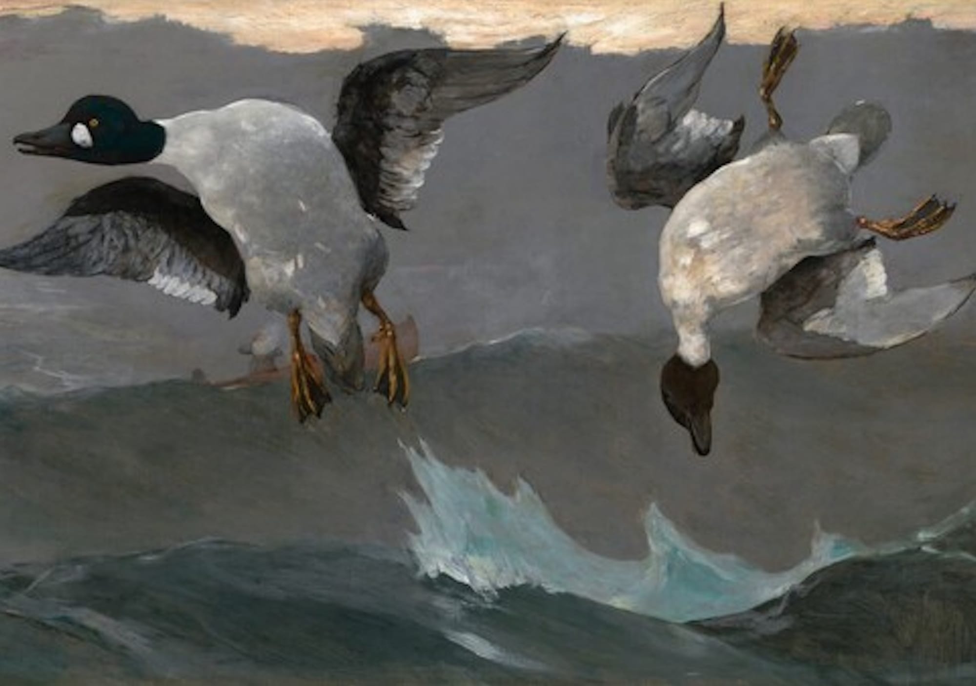 Winslow Homer painting of two ducks above waves